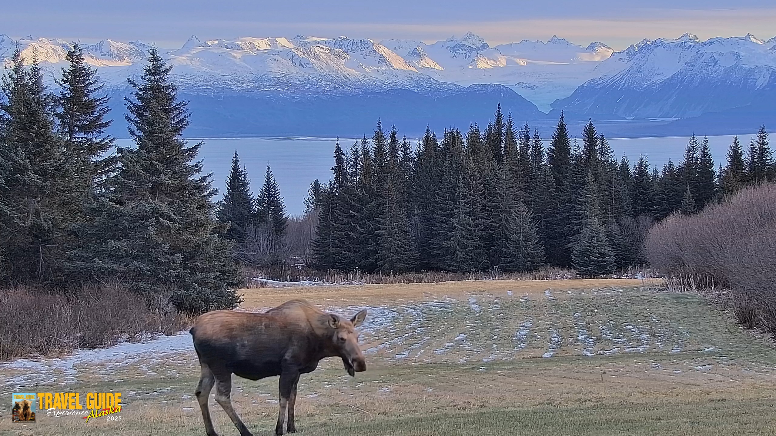 Snapshot of Inspiration Ridge - Homer Alaska Live Webcam taken Dec 22, 2025, 2:29pm AKST
