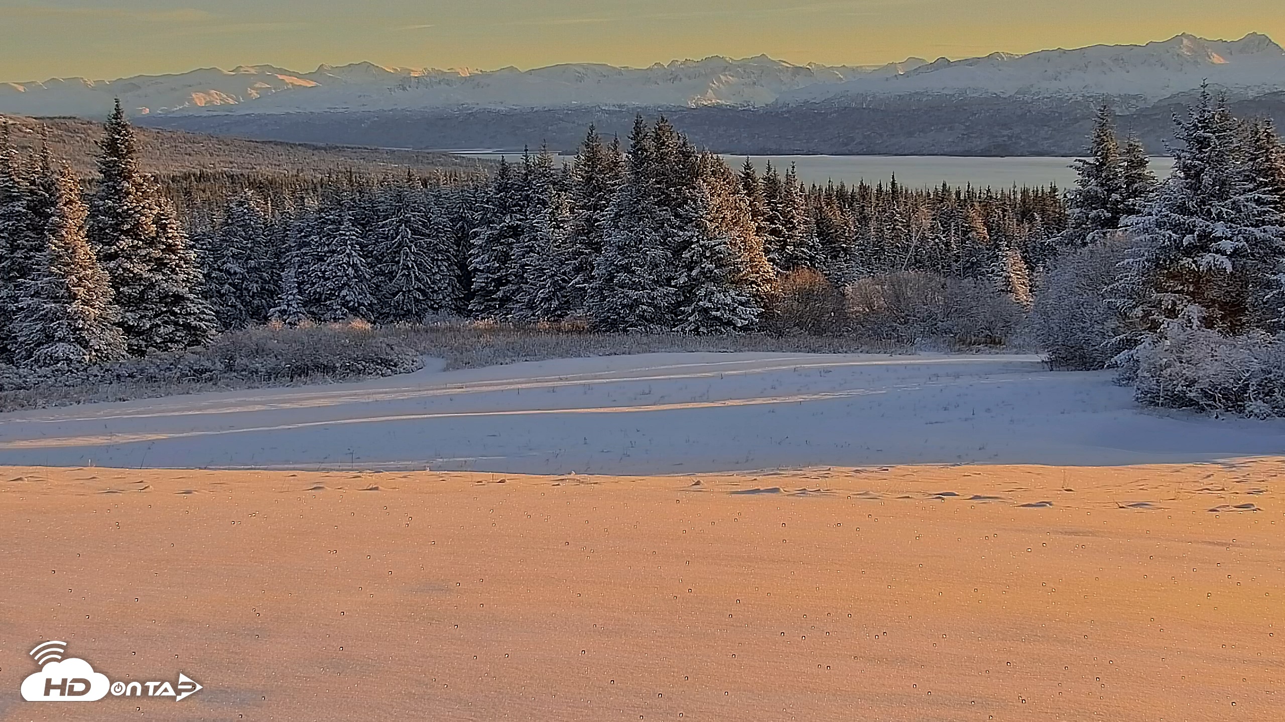 Snapshot of Inspiration Ridge - Homer Alaska Live Webcam taken Nov 22, 2025, 10:06am AKST