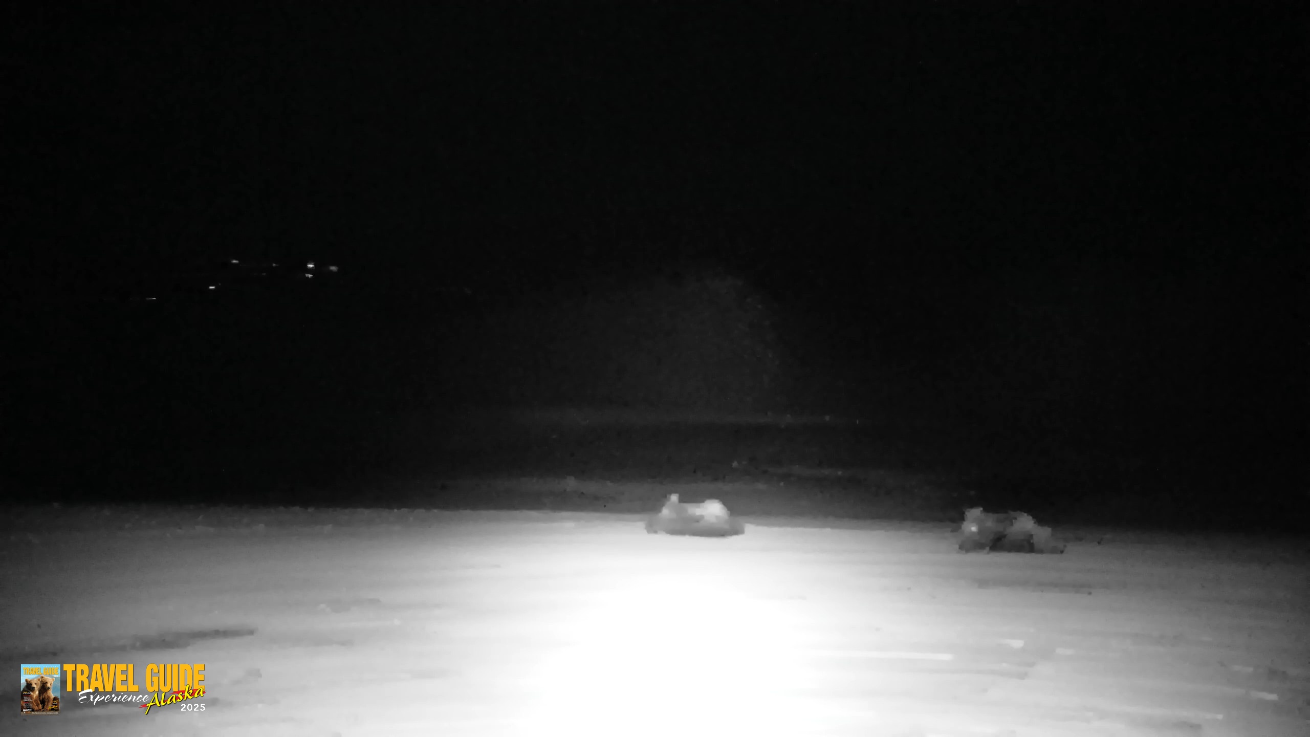Snapshot of Inspiration Ridge - Homer Alaska Live Webcam taken Apr 15, 2026, 12:33am AKDT