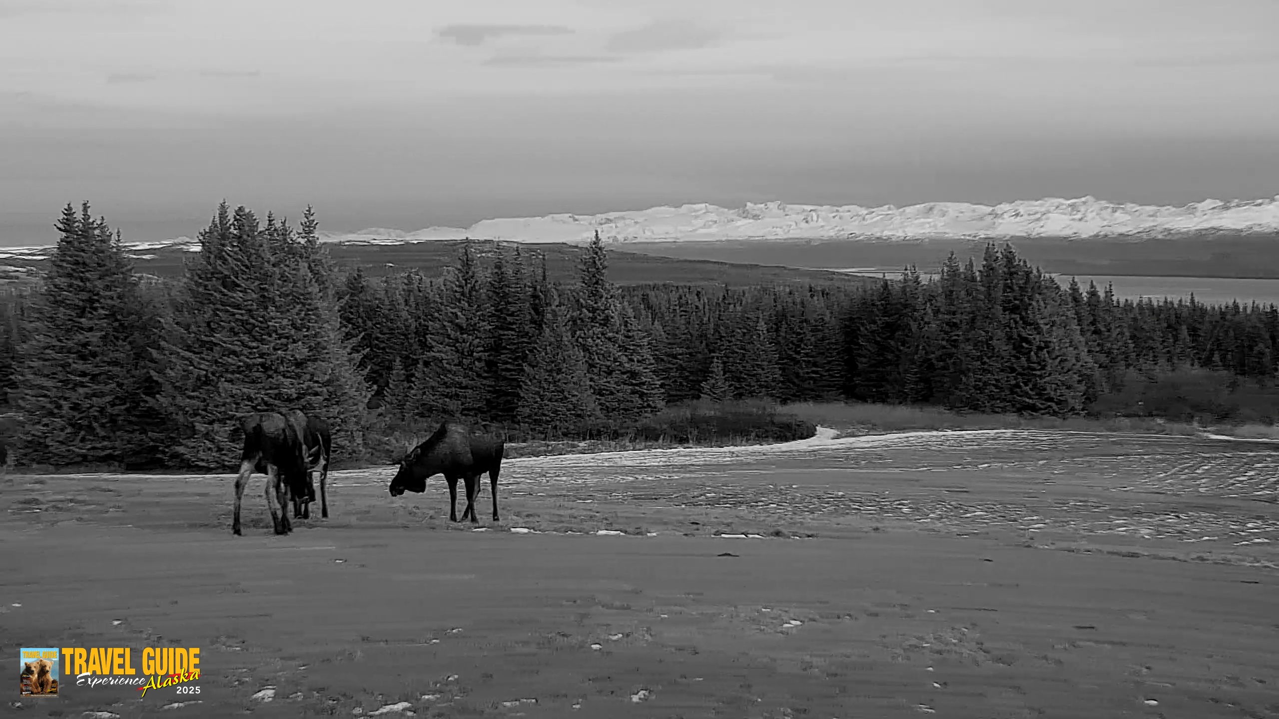 Snapshot of Inspiration Ridge - Homer Alaska Live Webcam taken Dec 16, 2025, 4:16pm AKST