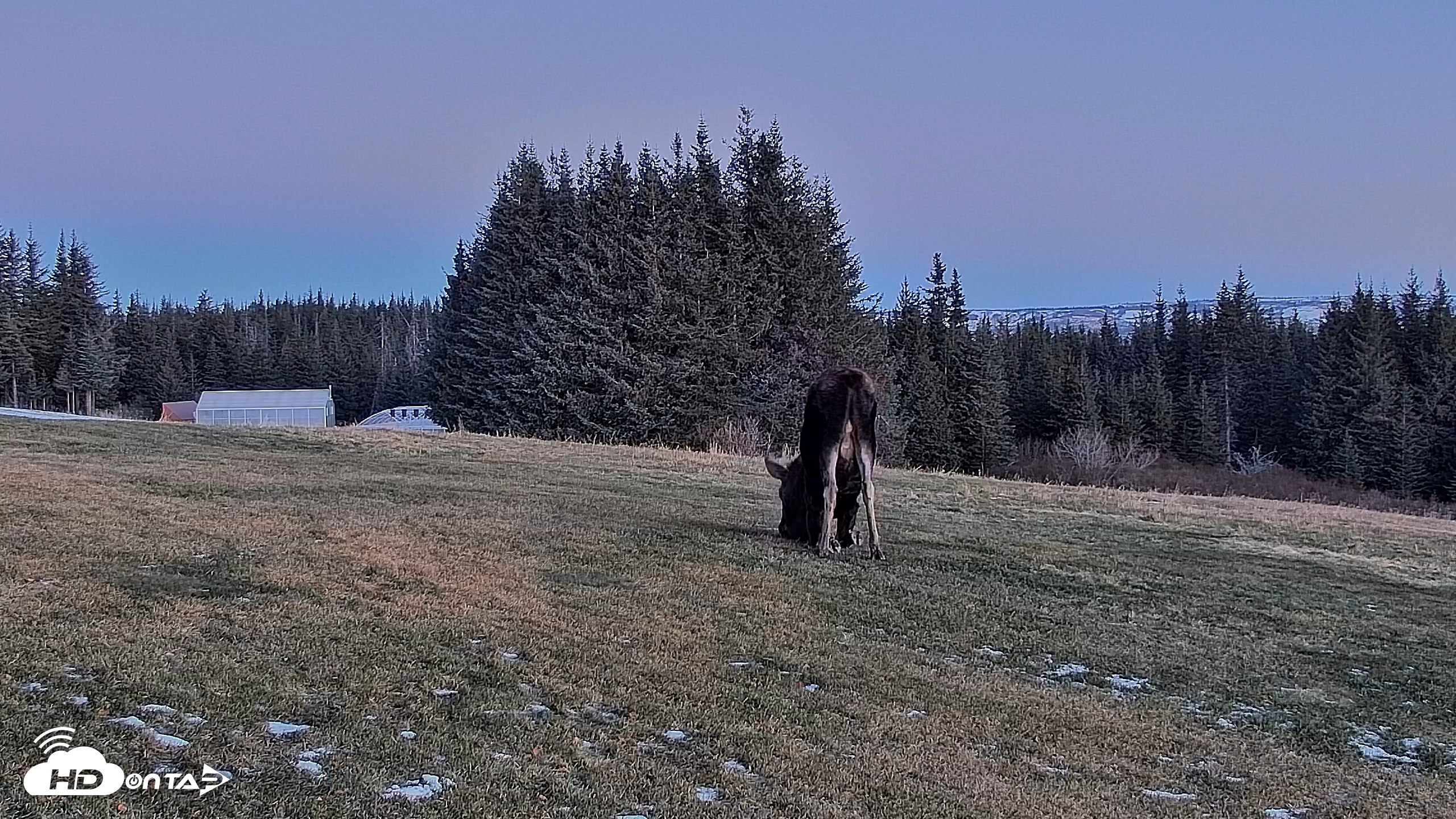 Snapshot of Inspiration Ridge - Homer Alaska Live Webcam taken Dec 12, 2025, 9:39am AKST