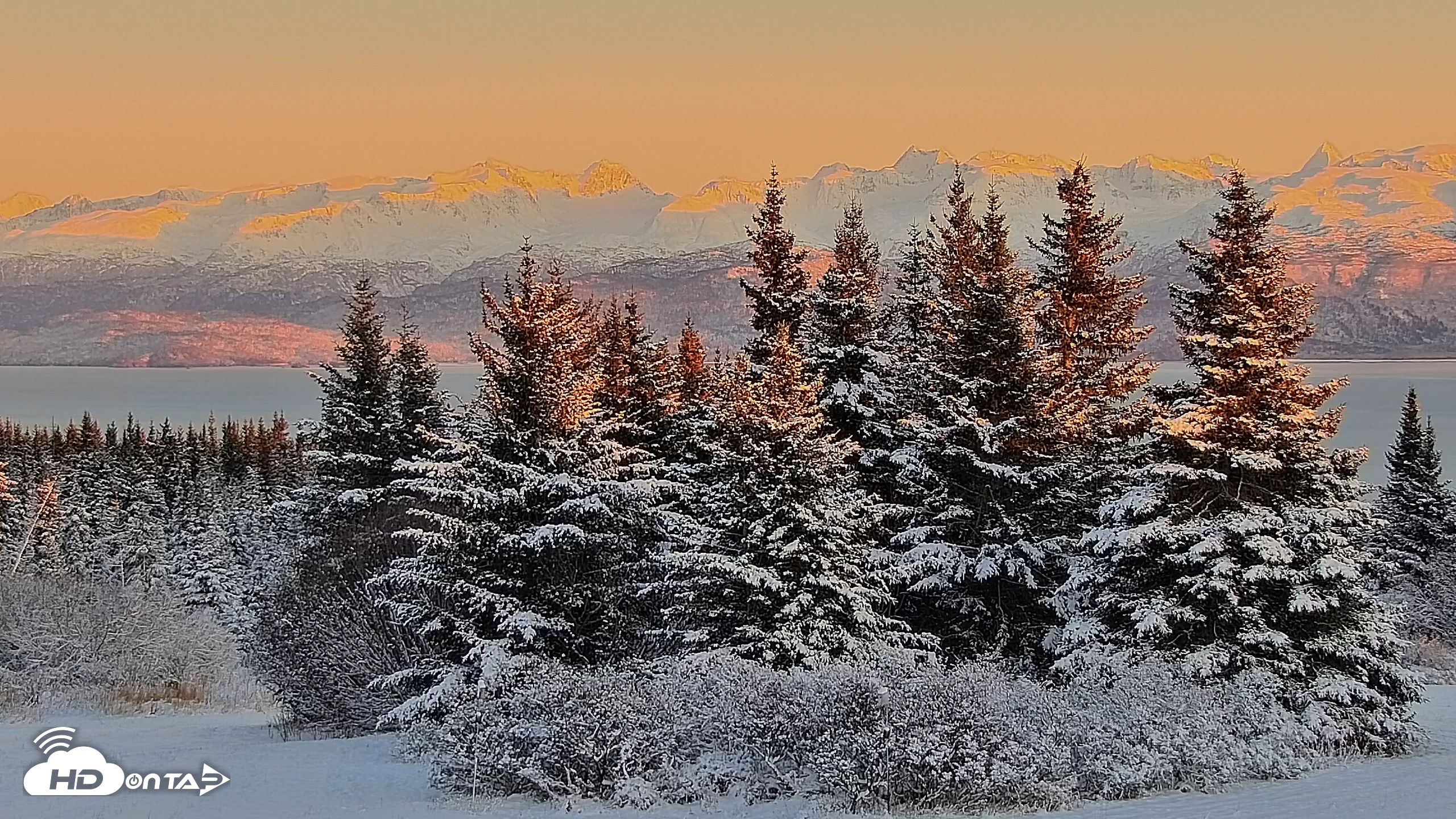 Snapshot of Inspiration Ridge - Homer Alaska Live Webcam taken Nov 23, 2025, 4:46pm AKST