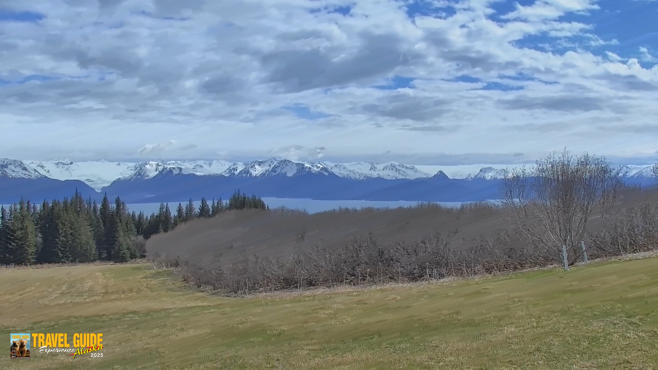 Snapshot of Inspiration Ridge - Homer Alaska Live Webcam taken May 29, 2026, 2:20pm AKDT