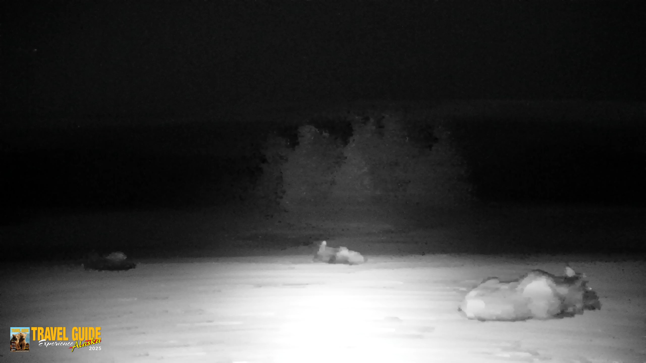 Snapshot of Inspiration Ridge - Homer Alaska Live Webcam taken Apr 14, 2026, 10:56pm AKDT