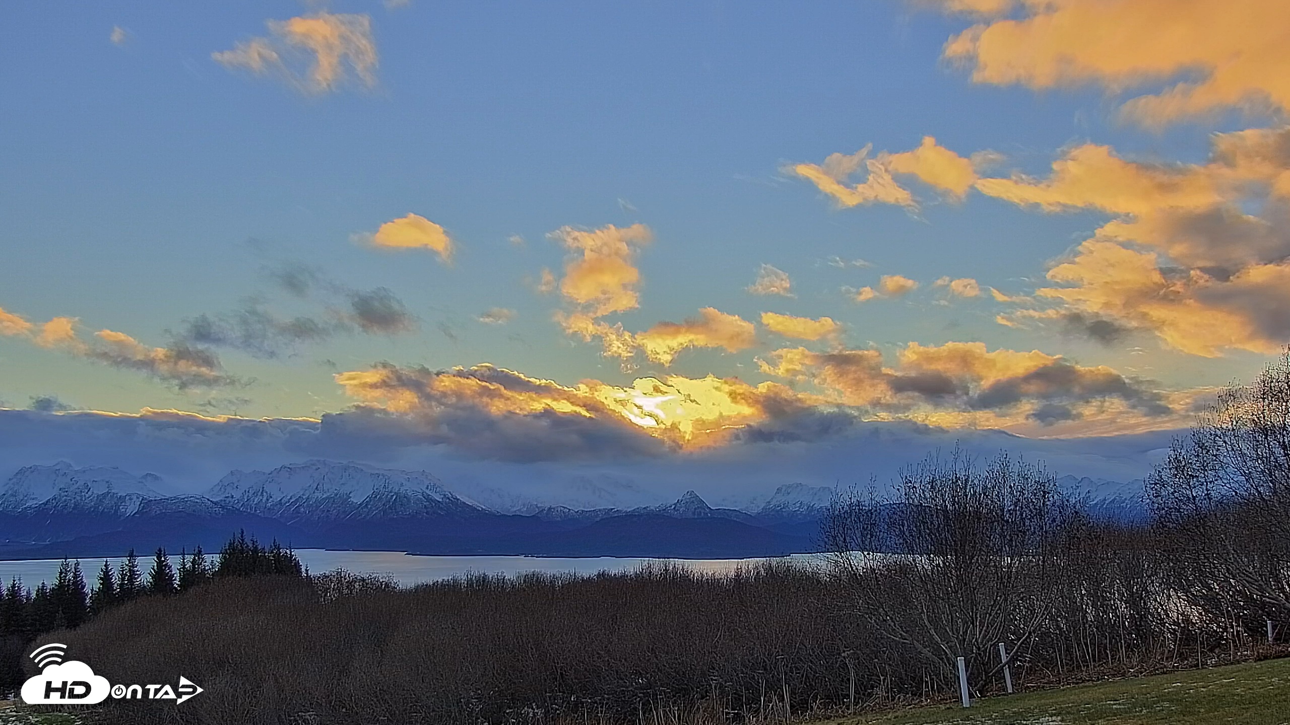 Snapshot of Inspiration Ridge - Homer Alaska Live Webcam taken Dec 2, 2025, 10:16am AKST