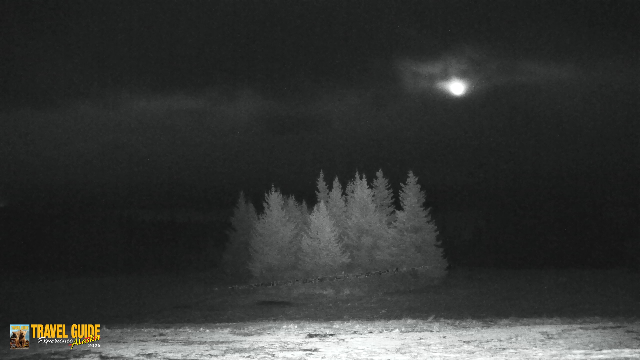 Snapshot of Inspiration Ridge - Homer Alaska Live Webcam taken Feb 4, 2026, 11:43pm AKST