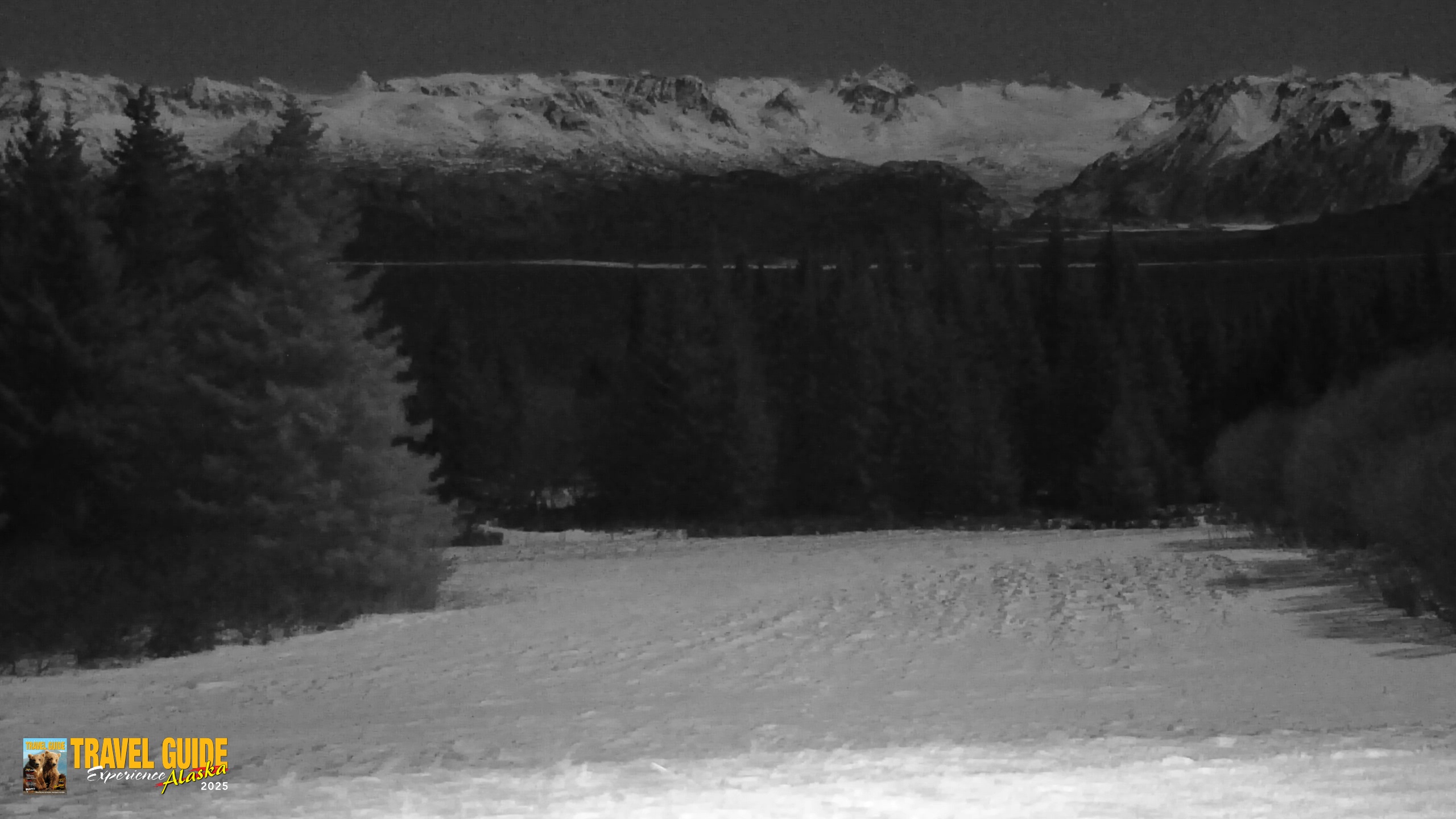 Snapshot of Inspiration Ridge - Homer Alaska Live Webcam taken Dec 31, 2025, 11:27pm AKST