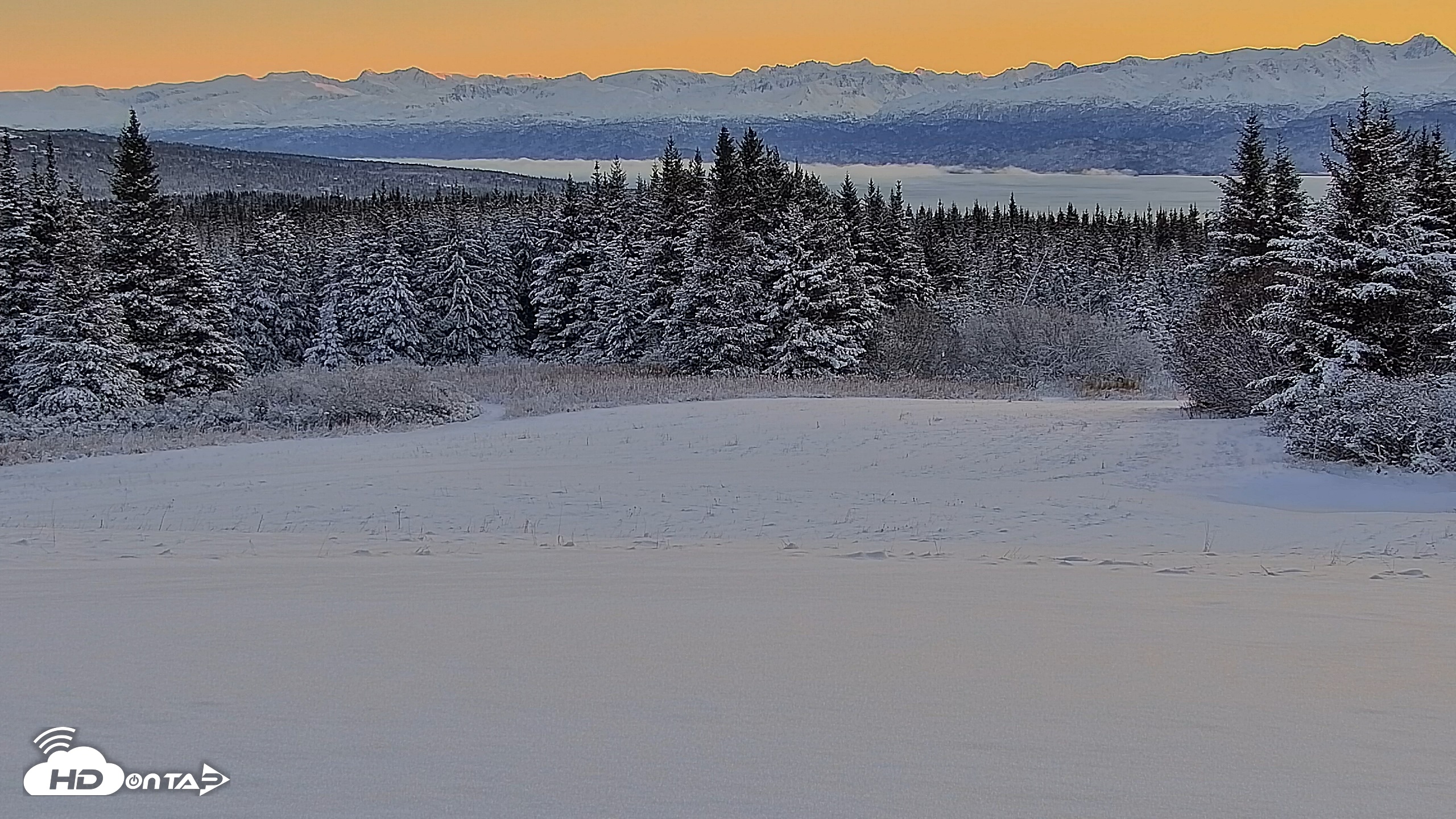 Snapshot of Inspiration Ridge - Homer Alaska Live Webcam taken Nov 23, 2025, 9:36am AKST