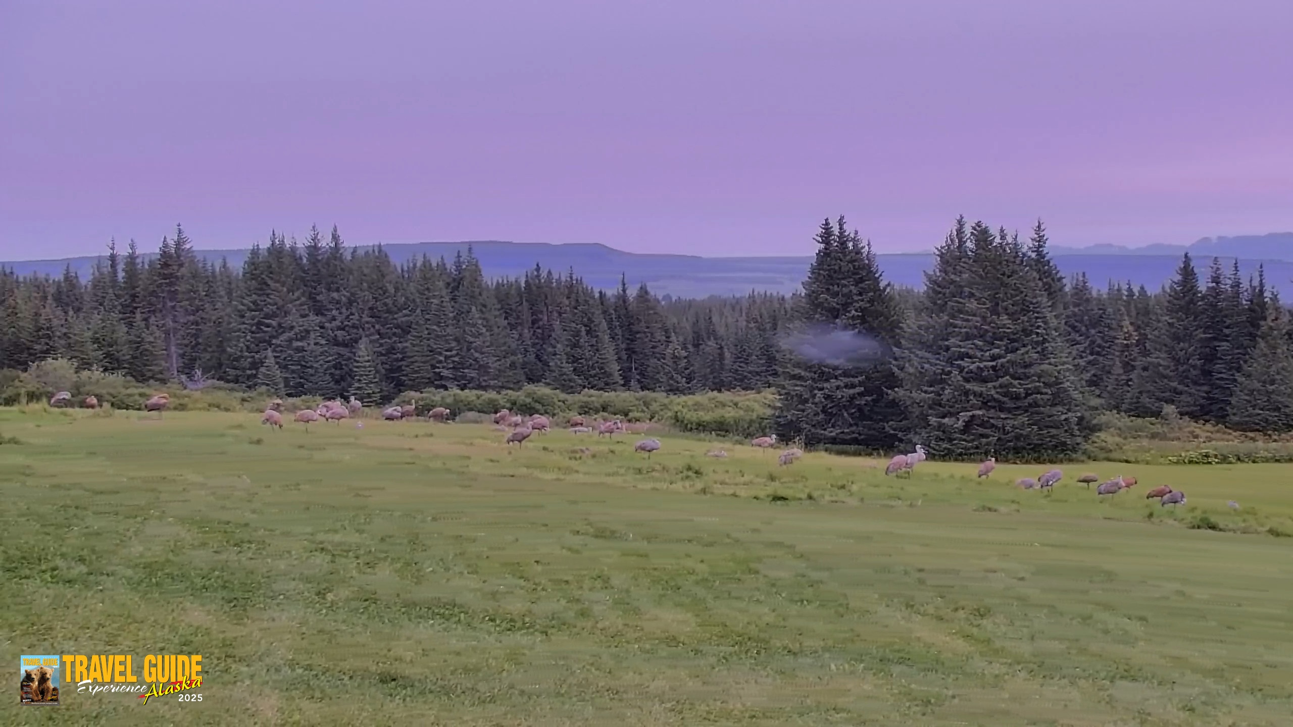 Snapshot of Inspiration Ridge - Homer Alaska Live Webcam taken Aug 30, 2026, 1:14pm AKDT