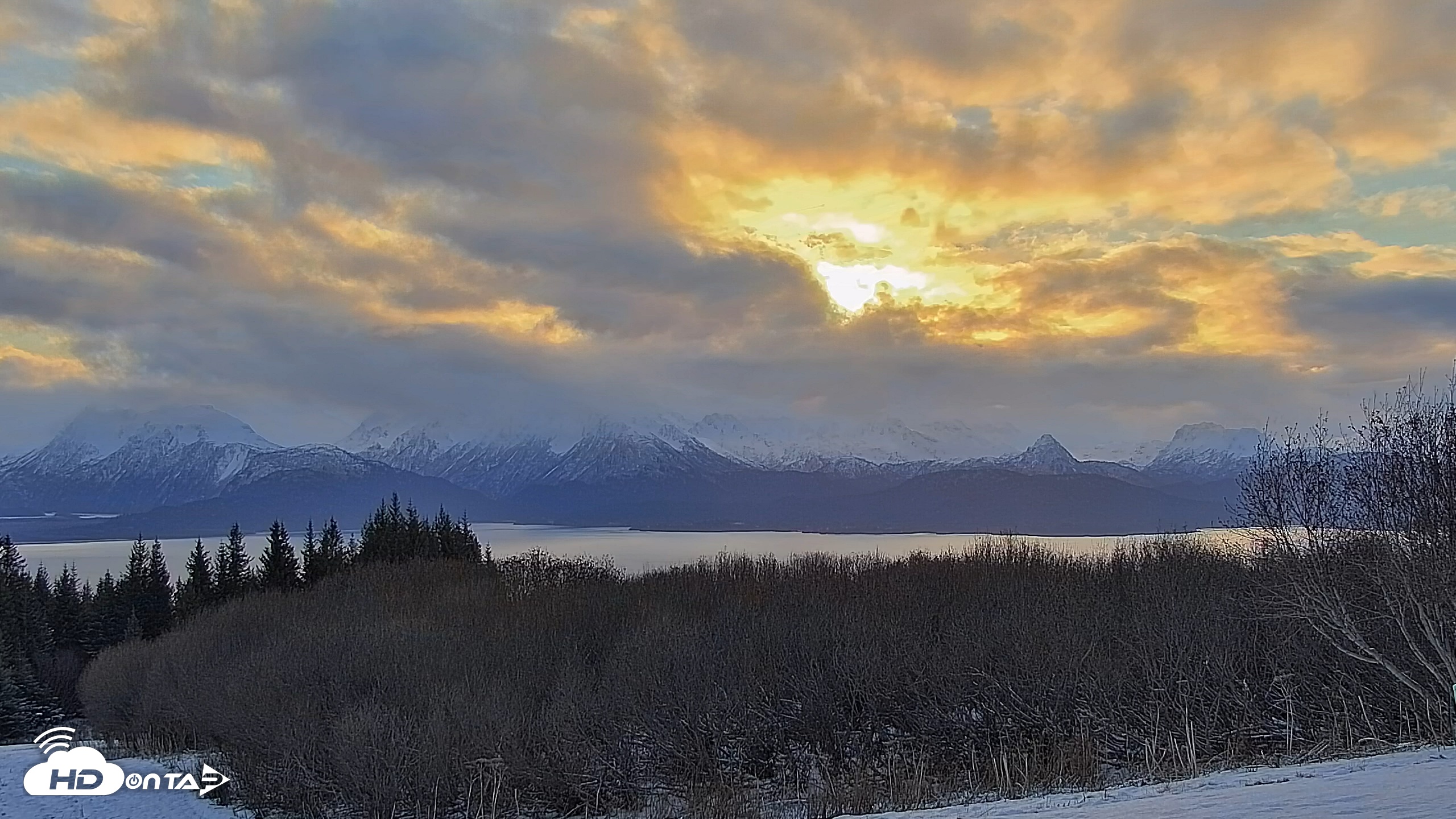 Snapshot of Inspiration Ridge - Homer Alaska Live Webcam taken Nov 19, 2025, 10:22am AKST