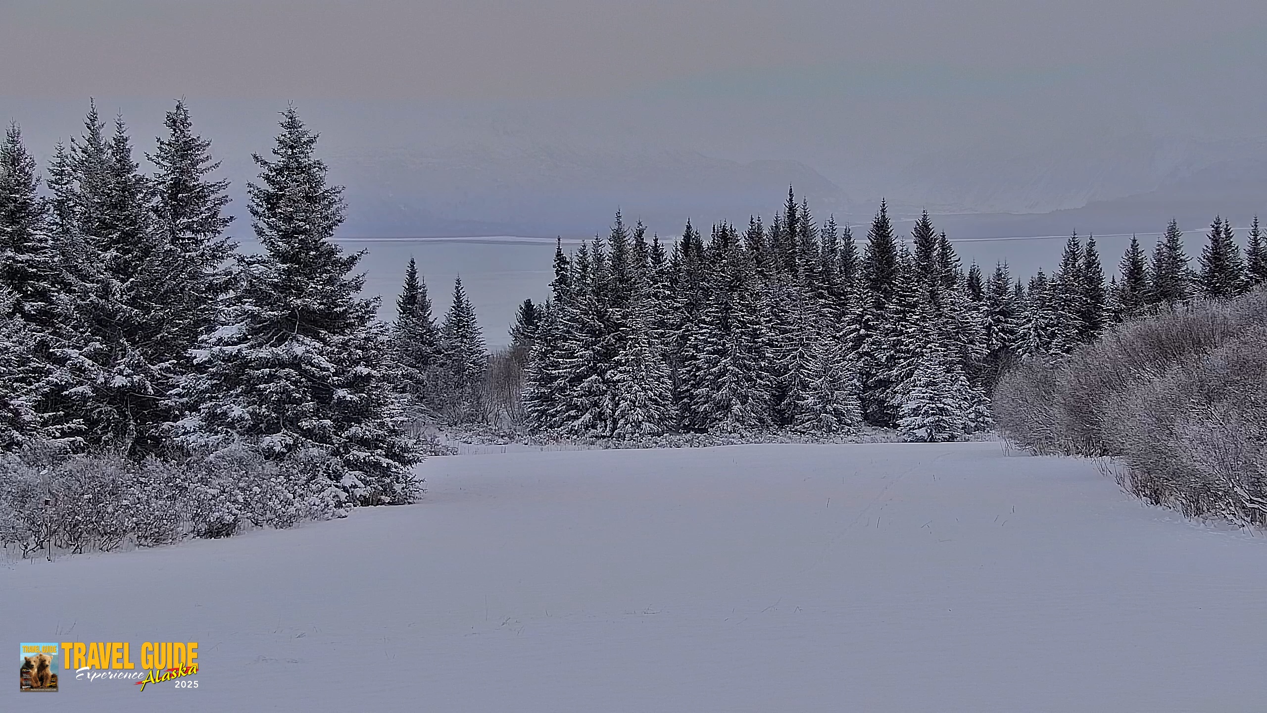 Snapshot of Inspiration Ridge - Homer Alaska Live Webcam taken Jan 14, 2026, 4:15pm AKST