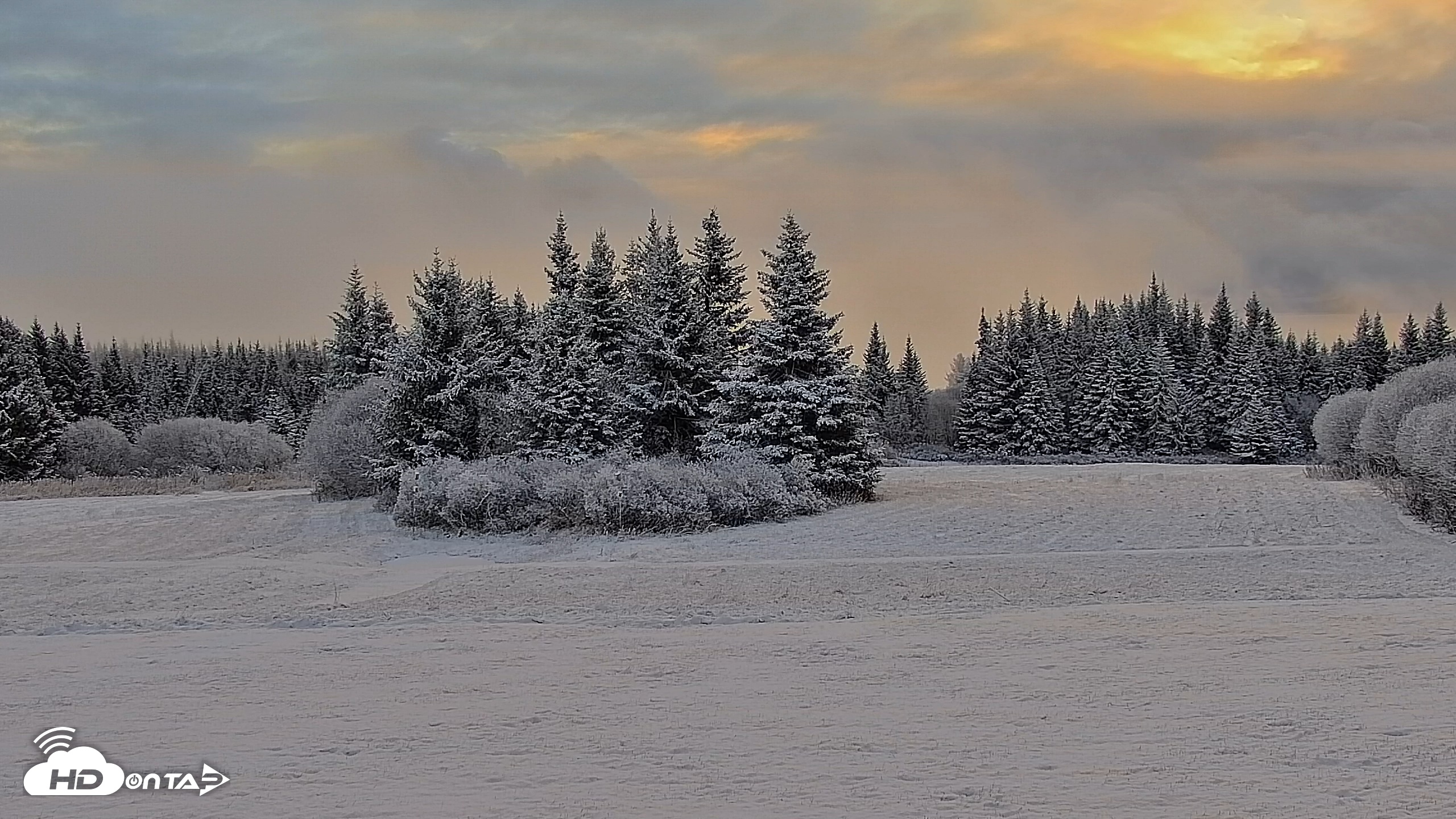 Snapshot of Inspiration Ridge - Homer Alaska Live Webcam taken Nov 4, 2025, 9:26am AKST