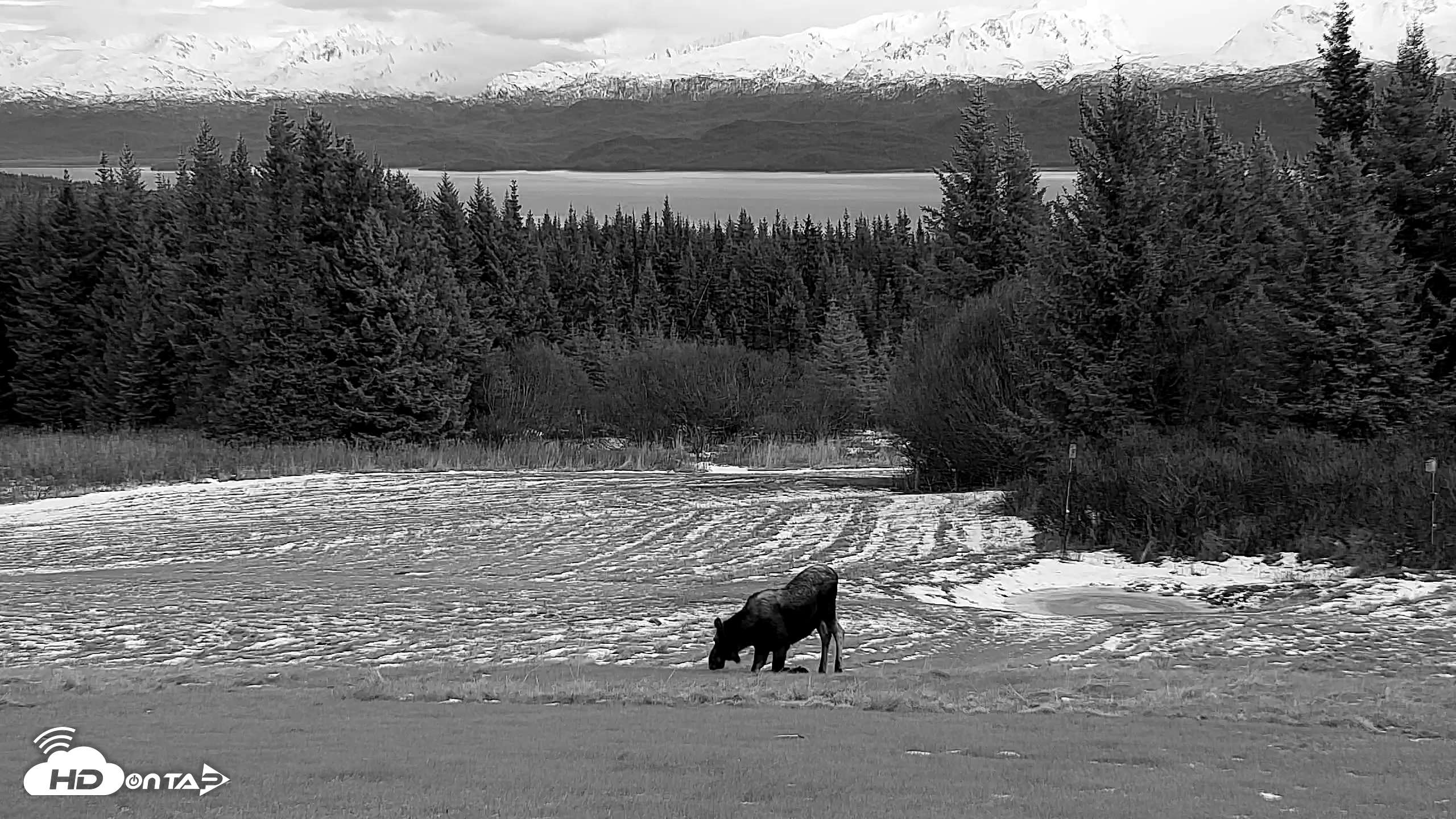 Snapshot of Inspiration Ridge - Homer Alaska Live Webcam taken Dec 3, 2025, 4:11pm AKST
