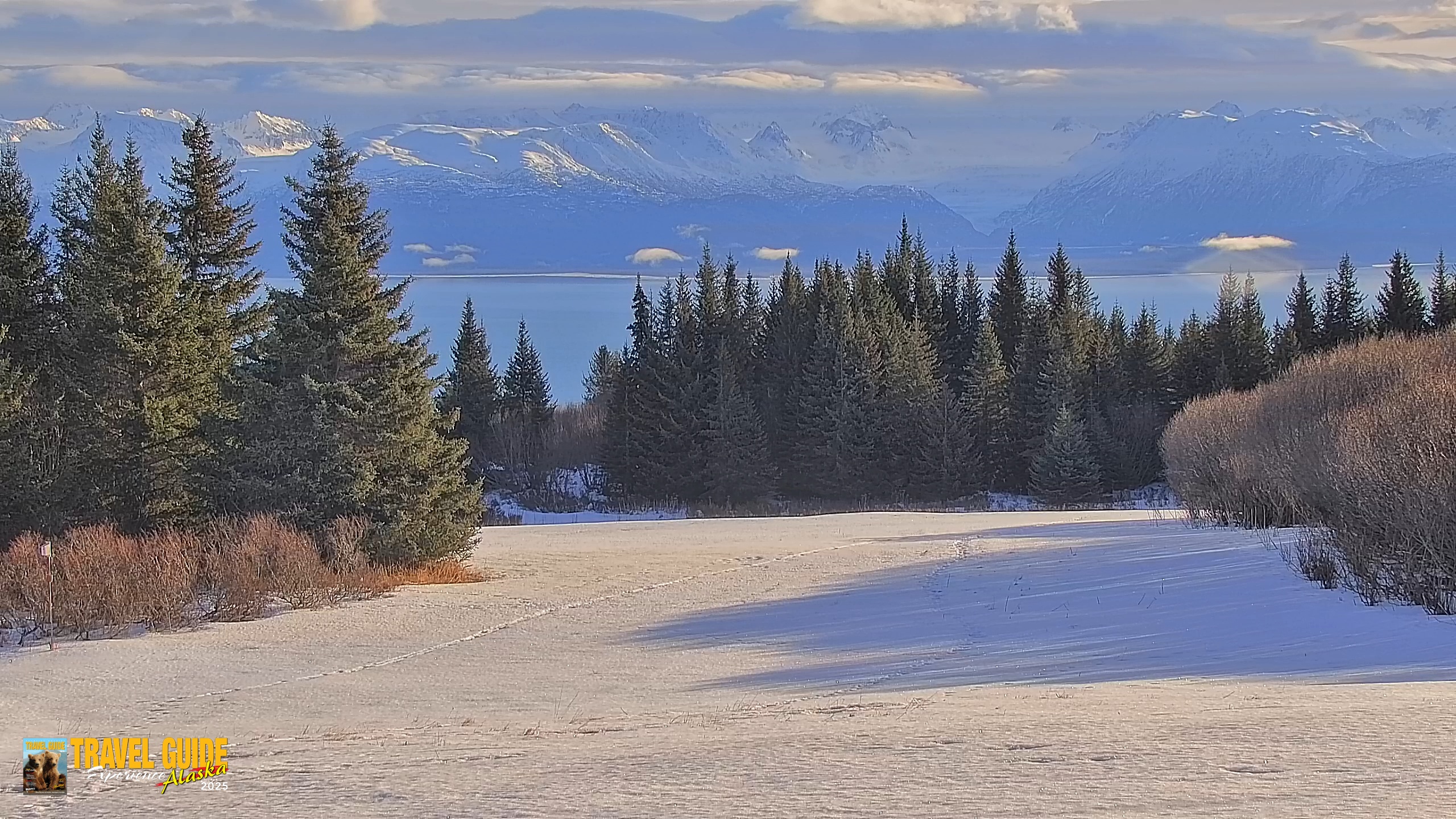 Snapshot of Inspiration Ridge - Homer Alaska Live Webcam taken Feb 1, 2026, 12:18pm AKST