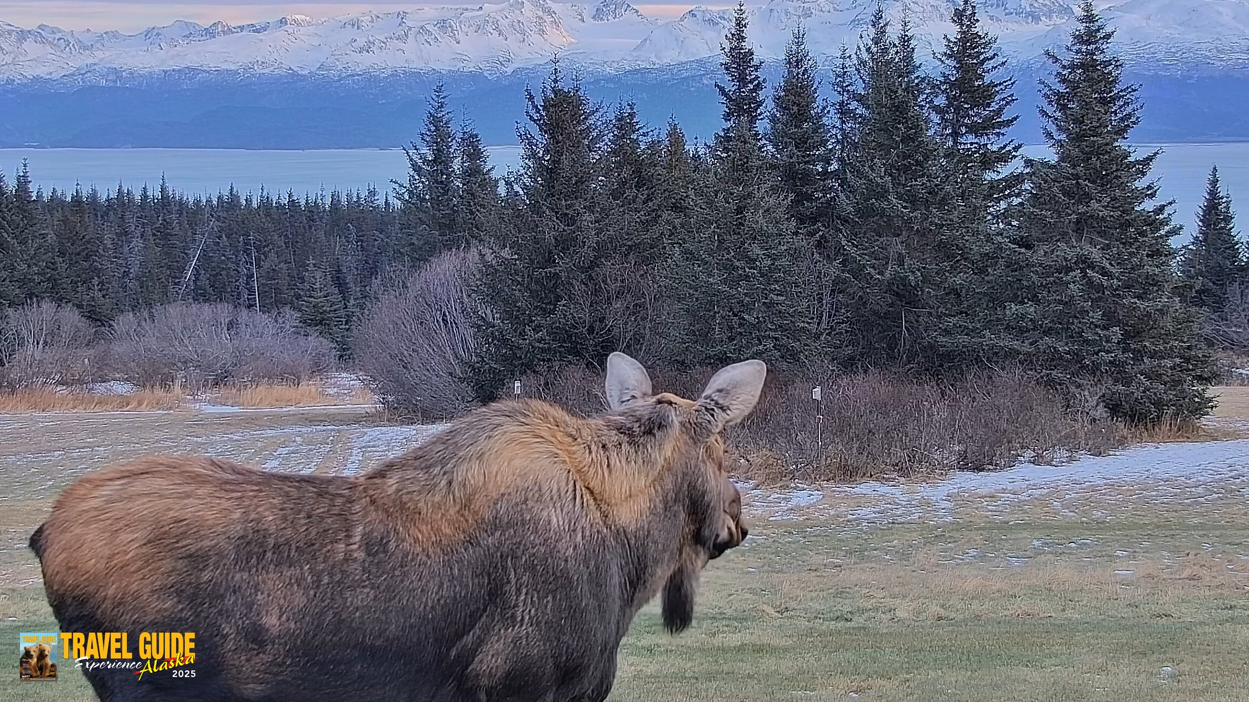 Snapshot of Inspiration Ridge - Homer Alaska Live Webcam taken Dec 22, 2025, 2:54pm AKST