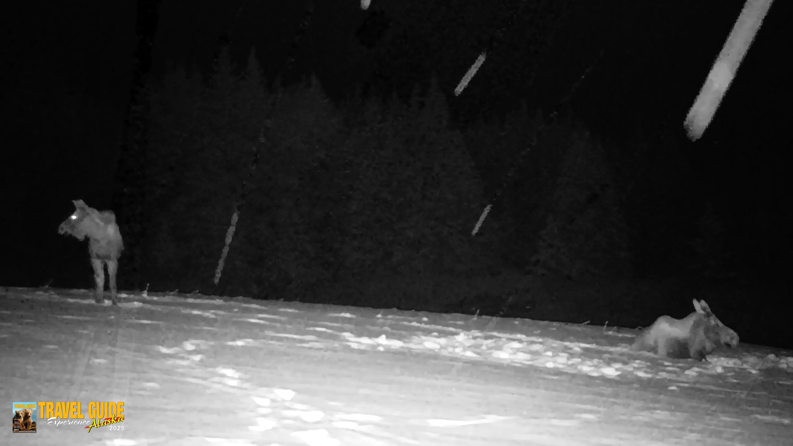 Snapshot of Inspiration Ridge - Homer Alaska Live Webcam taken Jan 14, 2026, 12:12am AKST