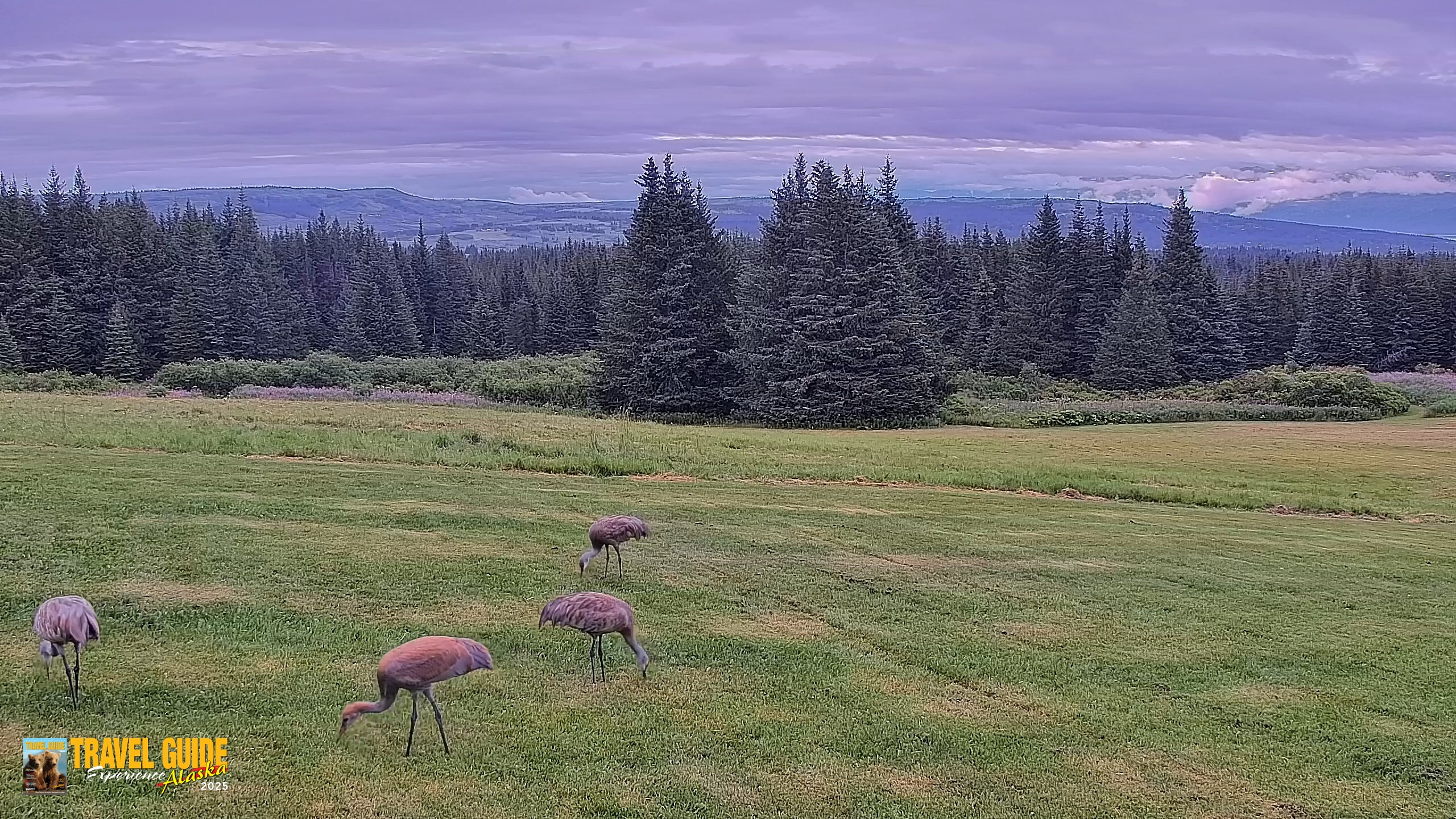 Snapshot of Inspiration Ridge - Homer Alaska Live Webcam taken Aug 19, 2026, 7:05pm AKDT