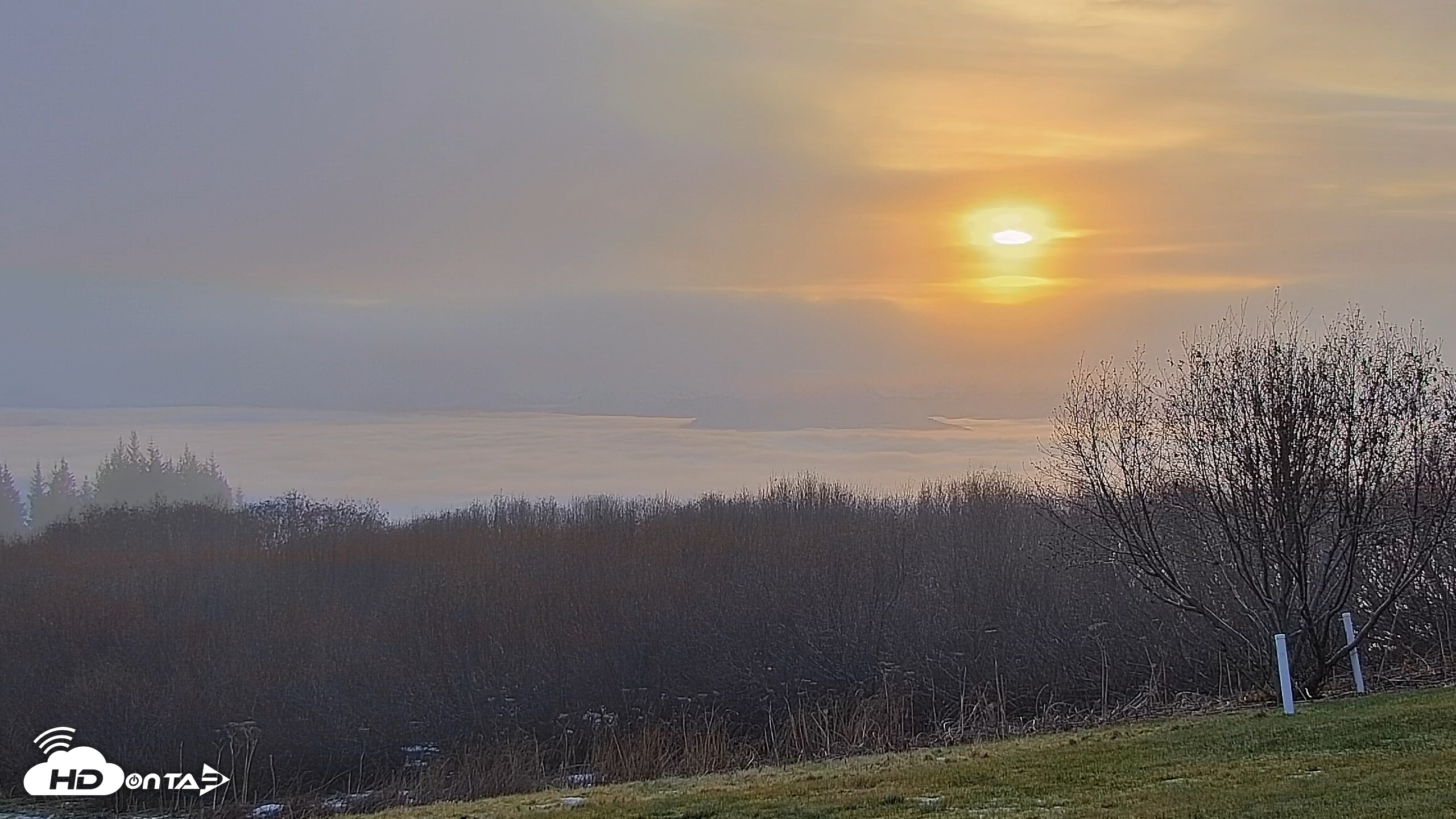 Snapshot of Inspiration Ridge - Homer Alaska Live Webcam taken Dec 4, 2025, 10:43am AKST