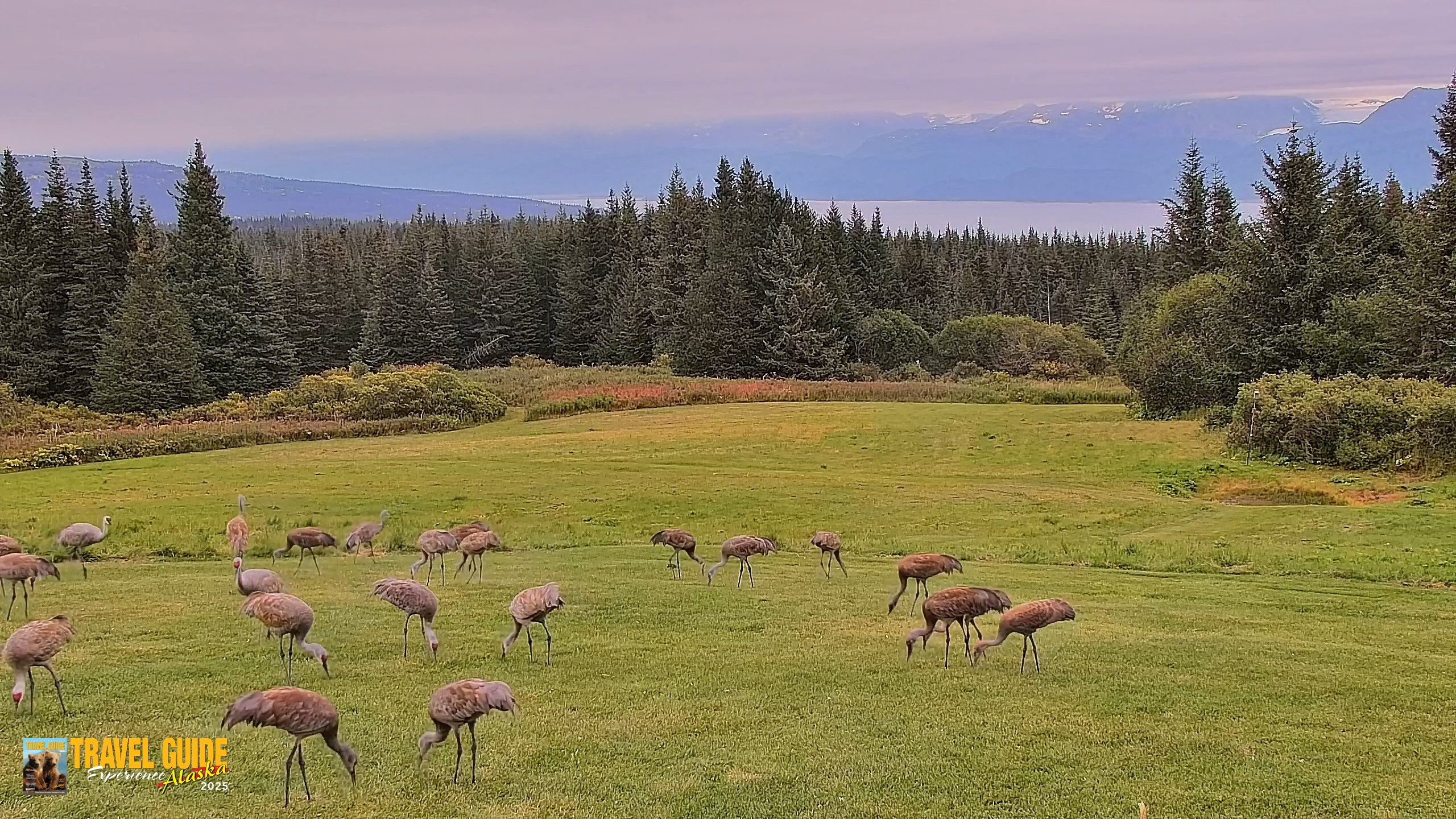 Snapshot of Inspiration Ridge - Homer Alaska Live Webcam taken Sep 4, 2026, 9:27pm AKDT