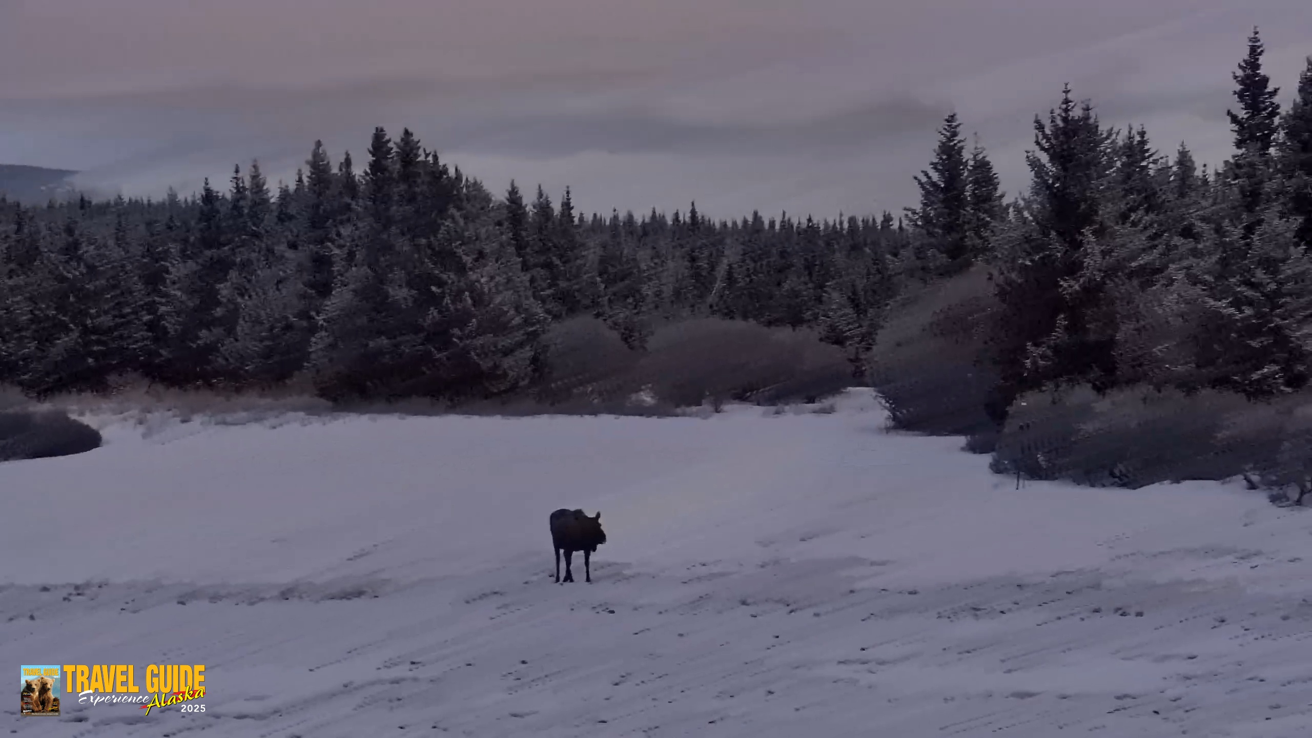 Snapshot of Inspiration Ridge - Homer Alaska Live Webcam taken Apr 5, 2026, 7:31am AKDT