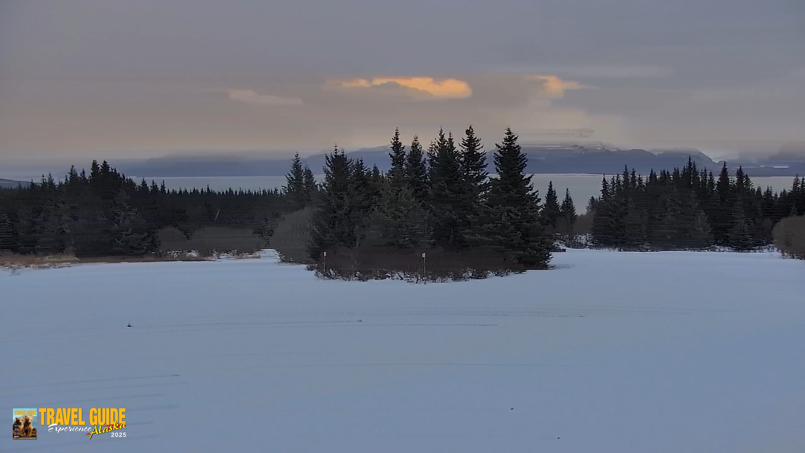 Snapshot of Inspiration Ridge - Homer Alaska Live Webcam taken Jan 17, 2026, 10:13am AKST