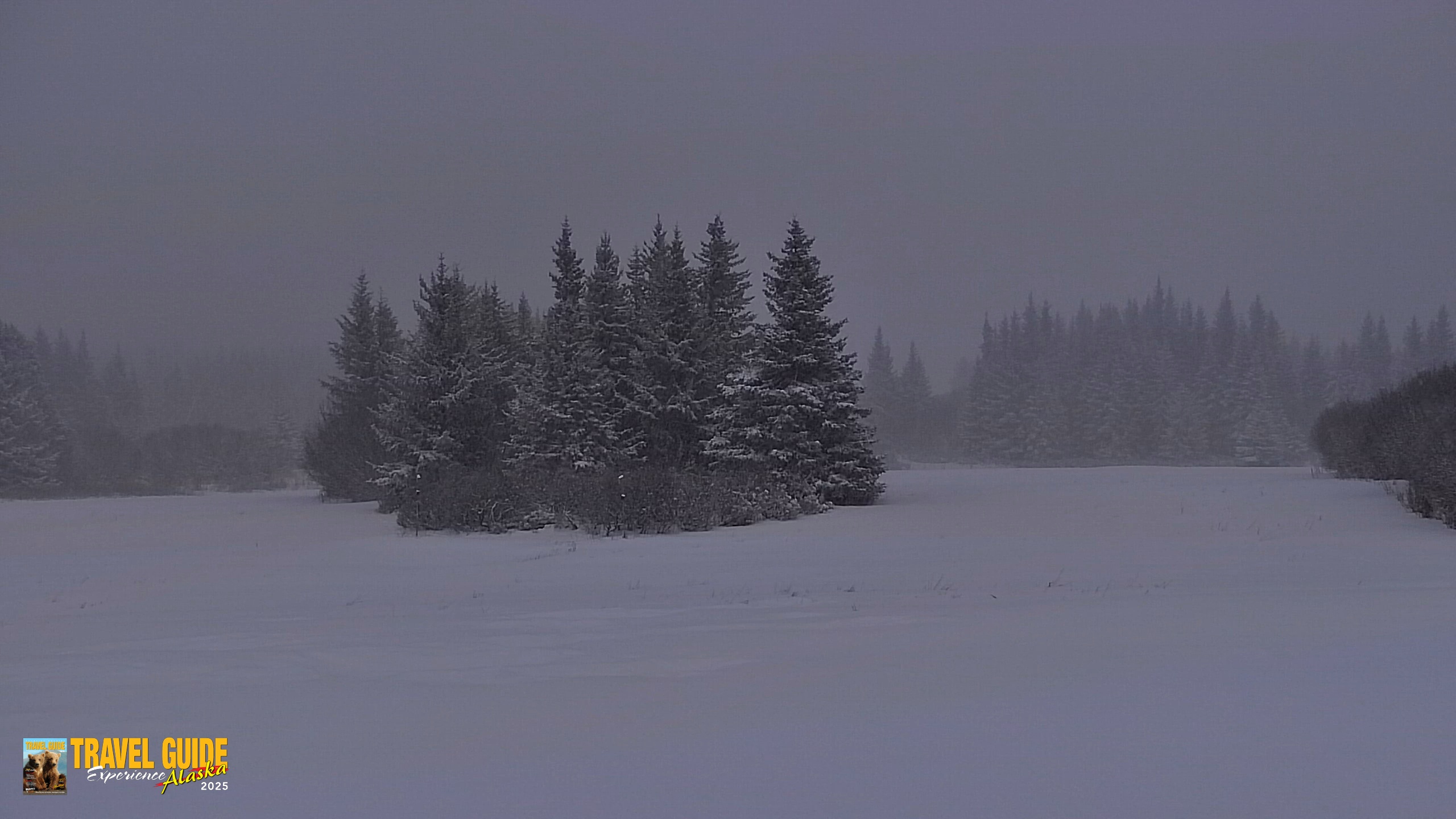 Snapshot of Inspiration Ridge - Homer Alaska Live Webcam taken Jan 6, 2026, 9:35am AKST