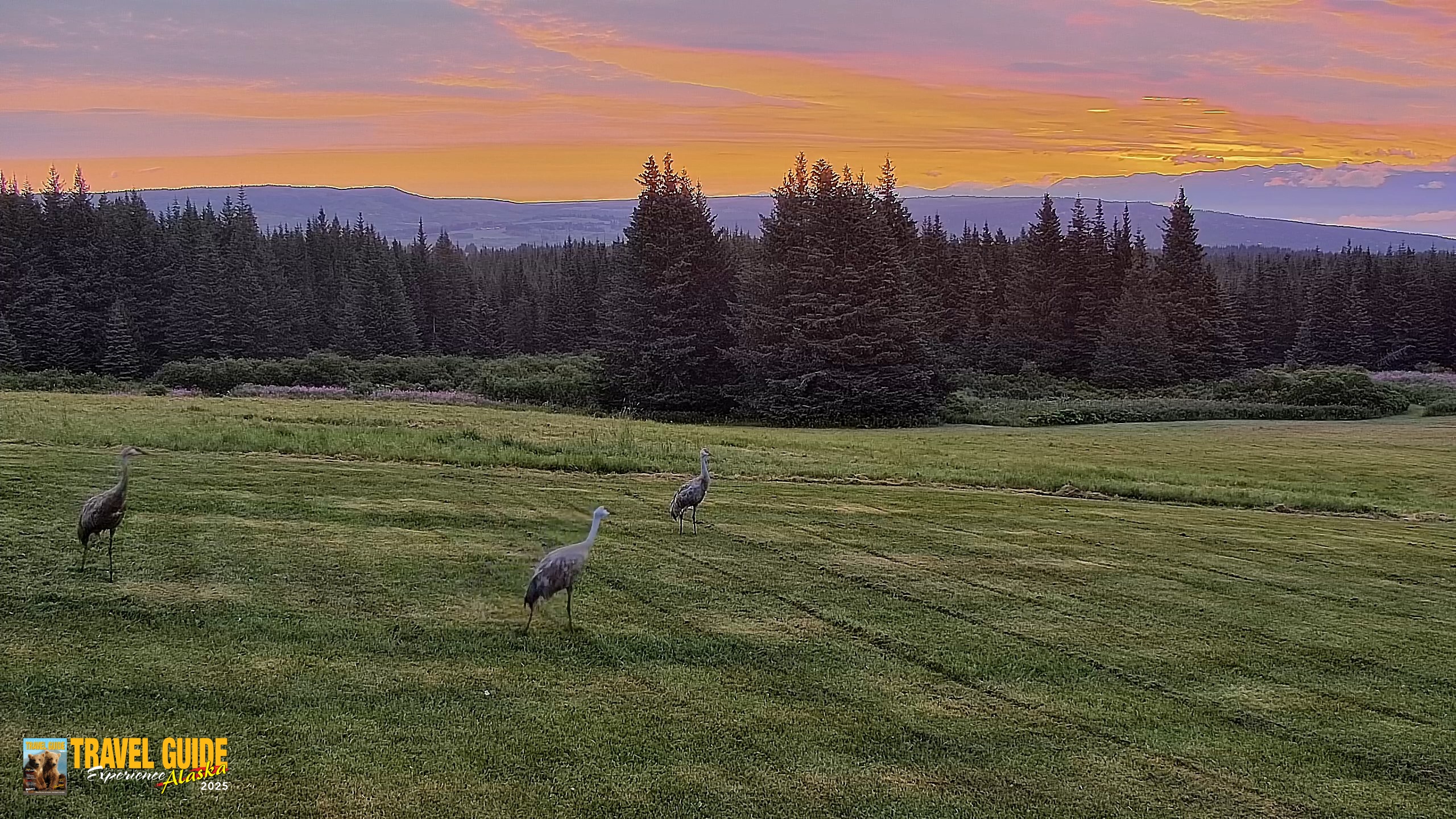 Snapshot of Inspiration Ridge - Homer Alaska Live Webcam taken Aug 19, 2026, 6:35am AKDT