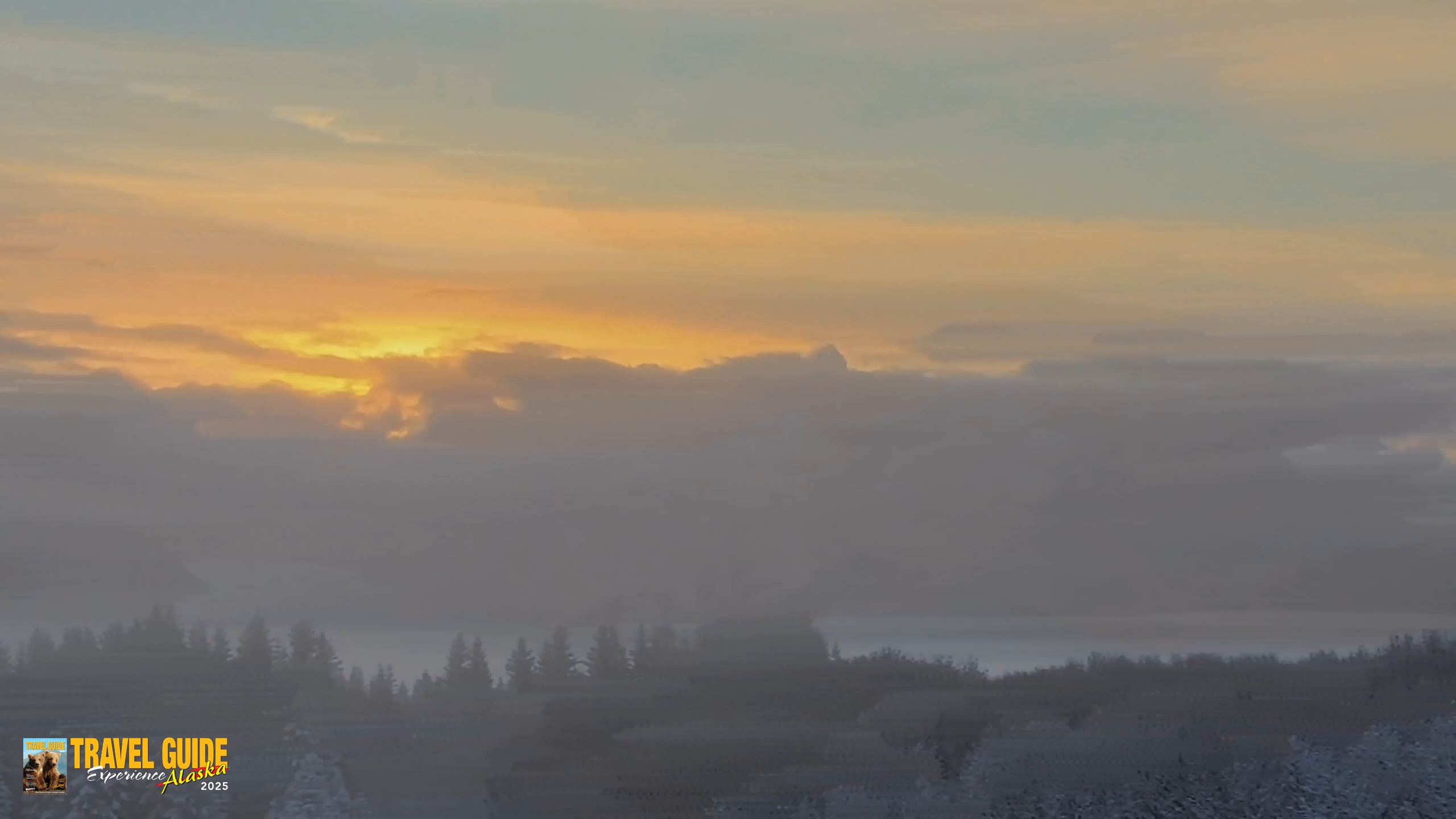 Snapshot of Inspiration Ridge - Homer Alaska Live Webcam taken Feb 12, 2026, 9:13am AKST