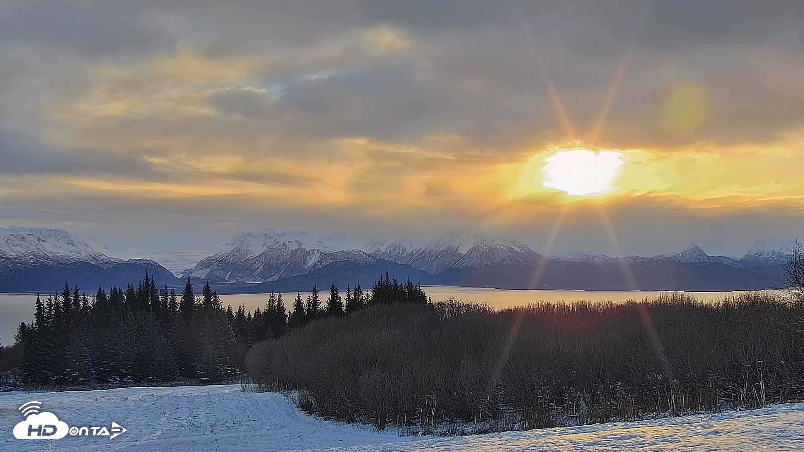 Snapshot of Inspiration Ridge - Homer Alaska Live Webcam taken Nov 12, 2025, 10:00am AKST