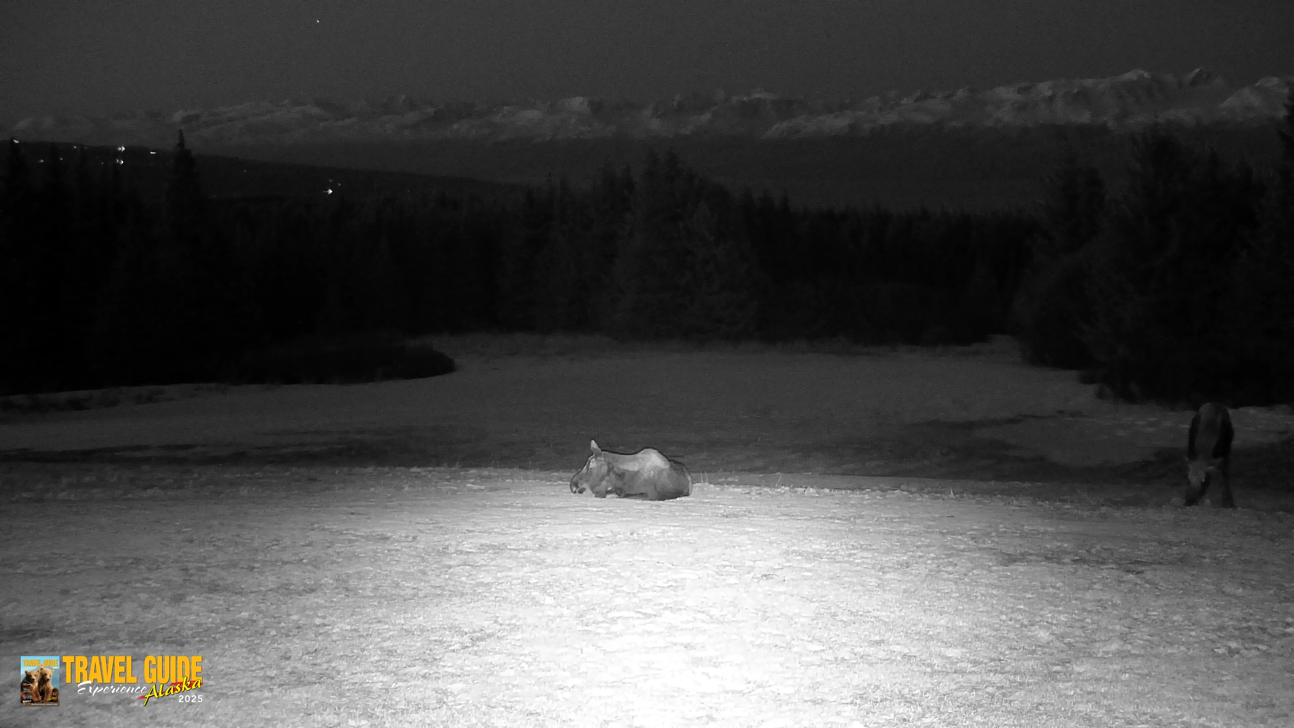 Snapshot of Inspiration Ridge - Homer Alaska Live Webcam taken Apr 14, 2026, 10:35pm AKDT