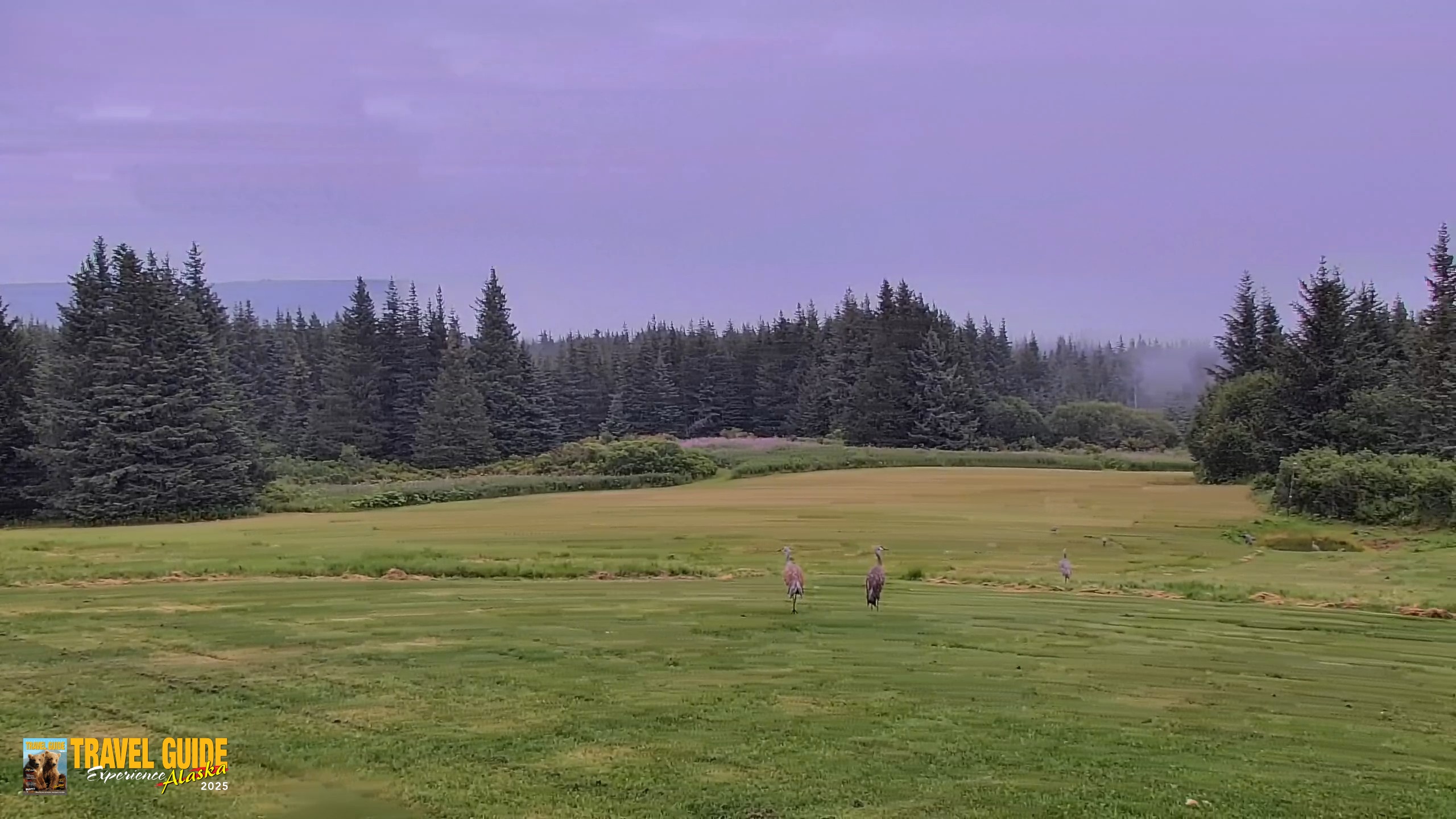 Snapshot of Inspiration Ridge - Homer Alaska Live Webcam taken Aug 19, 2026, 5:29pm AKDT