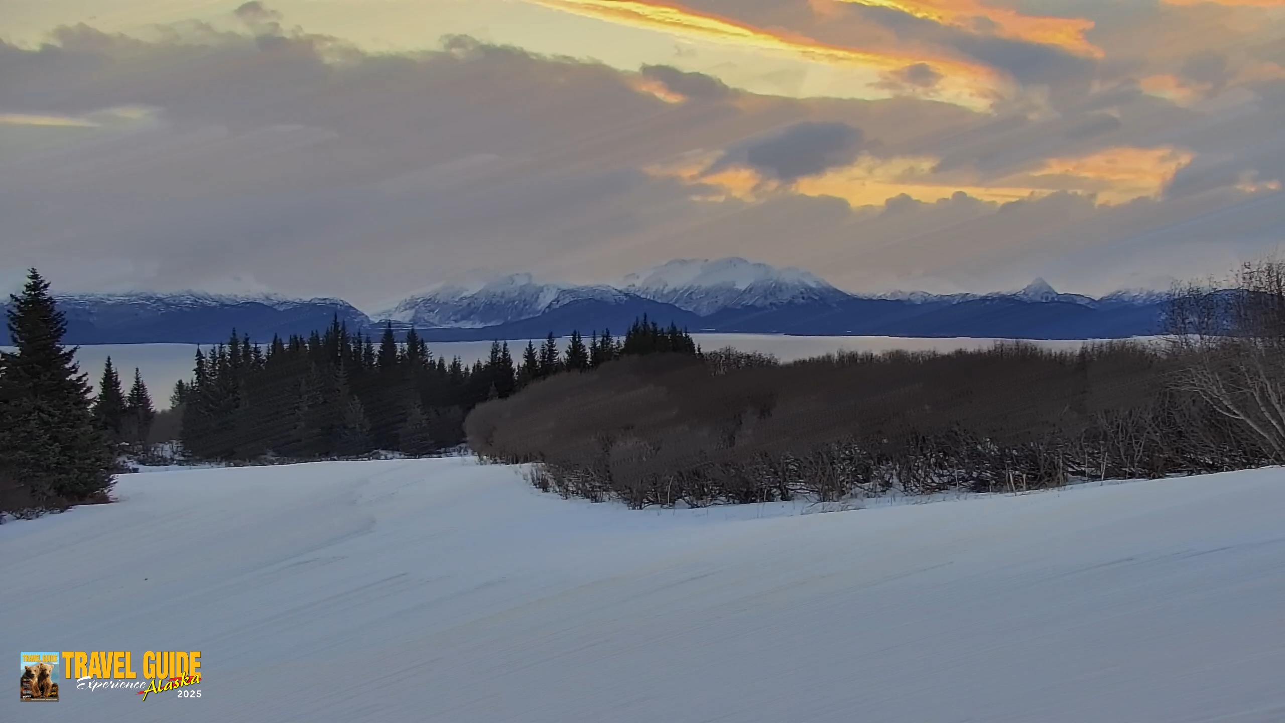 Snapshot of Inspiration Ridge - Homer Alaska Live Webcam taken Jan 29, 2026, 12:14pm AKST