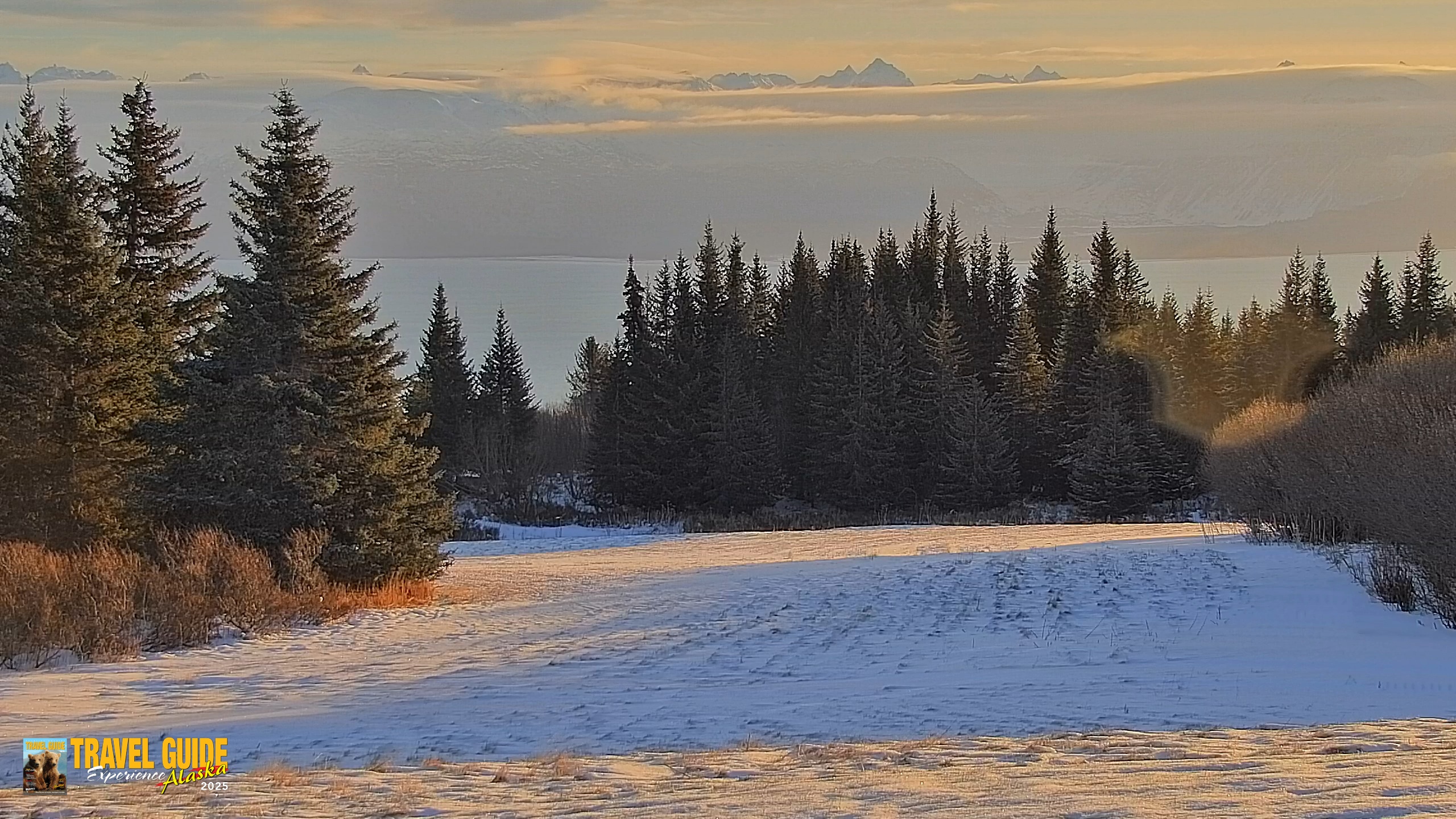 Snapshot of Inspiration Ridge - Homer Alaska Live Webcam taken Dec 30, 2025, 11:22am AKST