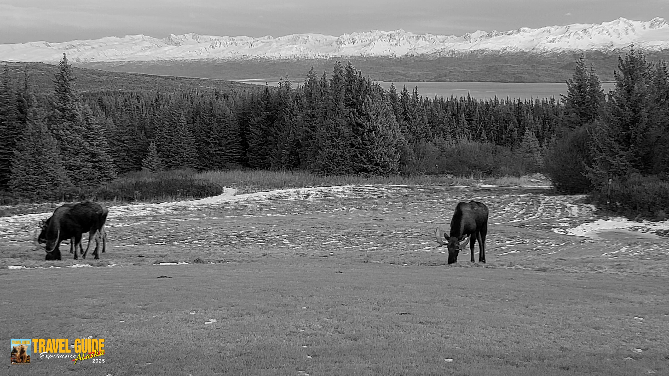 Snapshot of Inspiration Ridge - Homer Alaska Live Webcam taken Dec 16, 2025, 8:23pm AKST