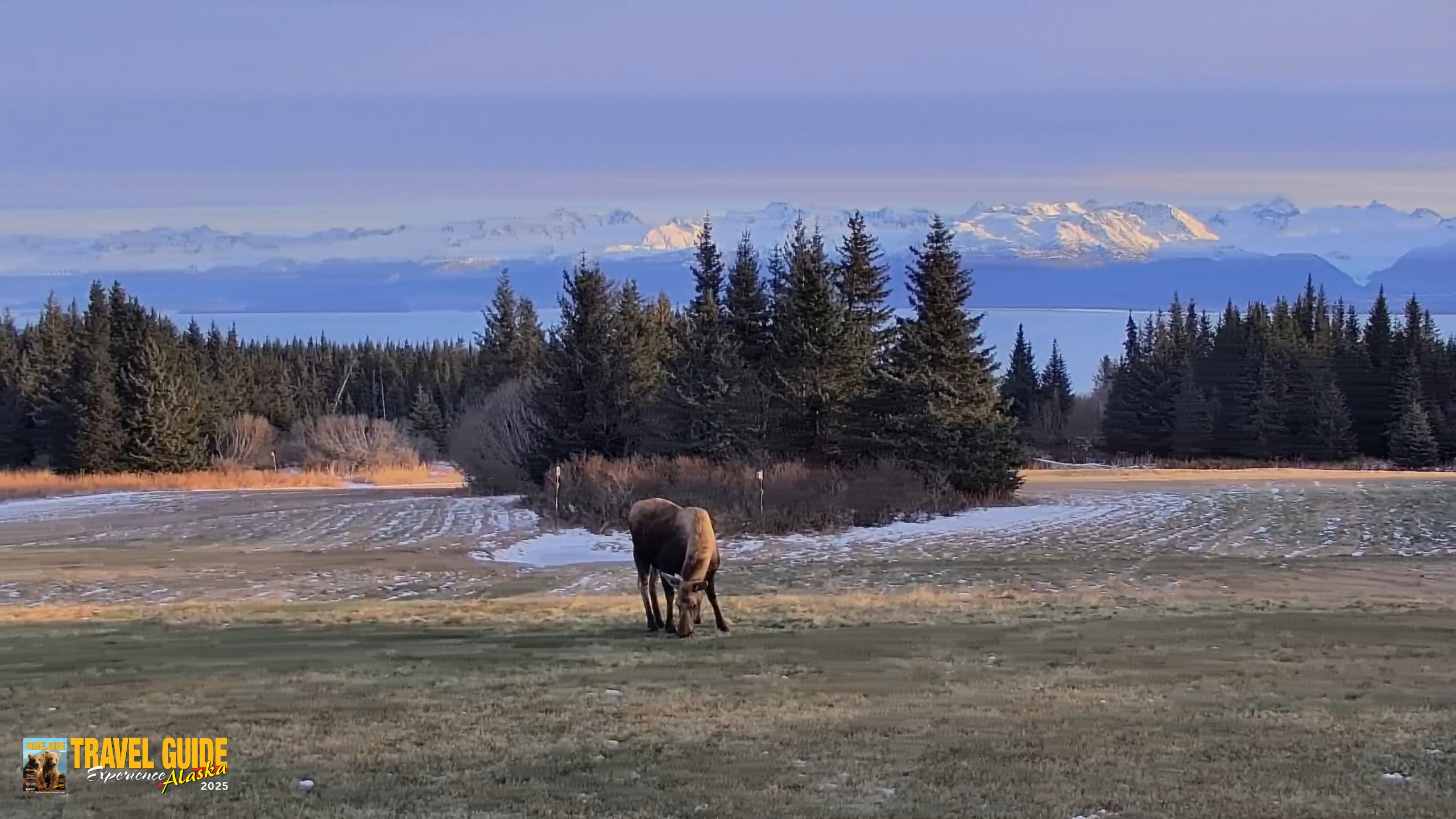 Snapshot of Inspiration Ridge - Homer Alaska Live Webcam taken Dec 22, 2025, 2:11pm AKST