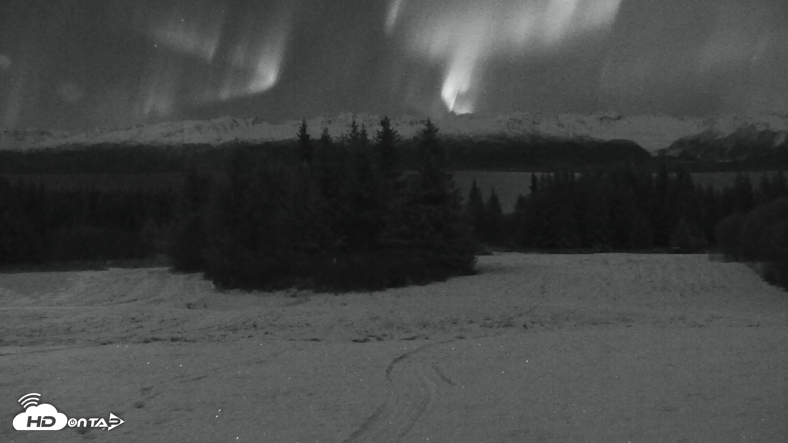 Snapshot of Inspiration Ridge - Homer Alaska Live Webcam taken Nov 12, 2025, 5:19am AKST