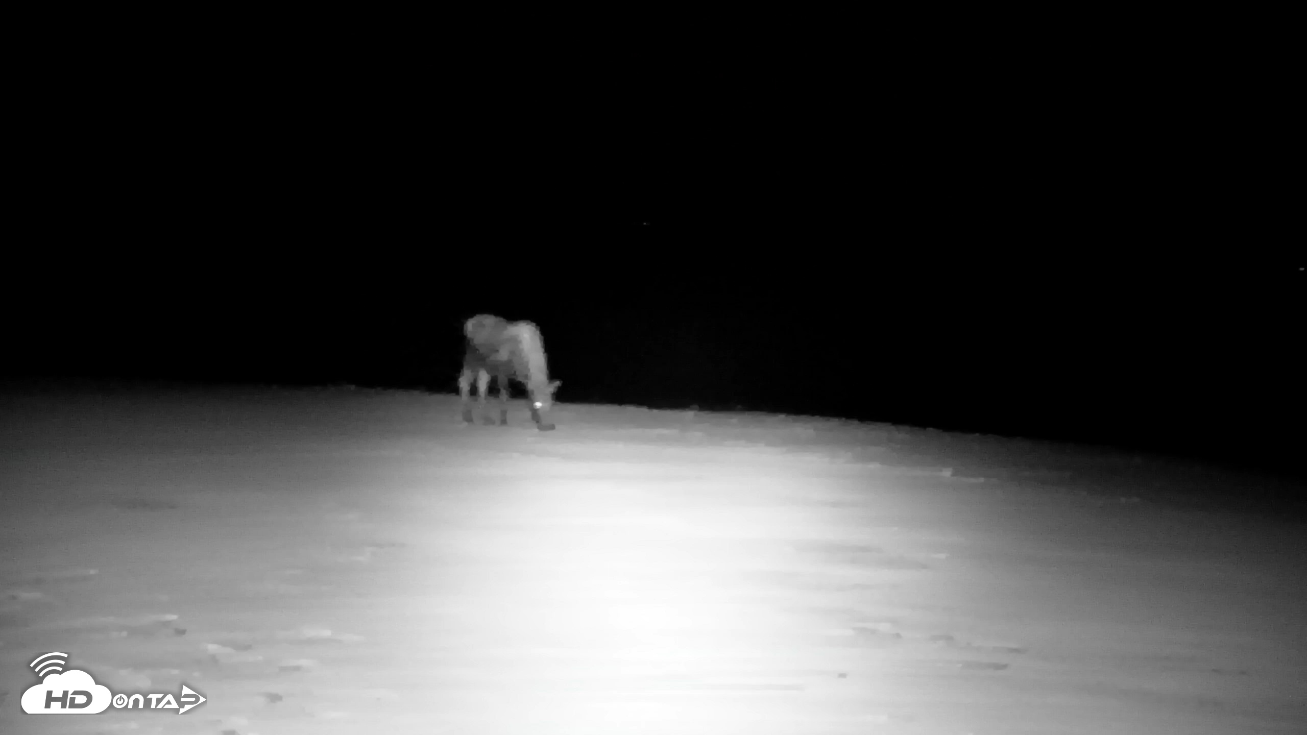 Snapshot of Inspiration Ridge - Homer Alaska Live Webcam taken Dec 10, 2025, 10:12pm AKST