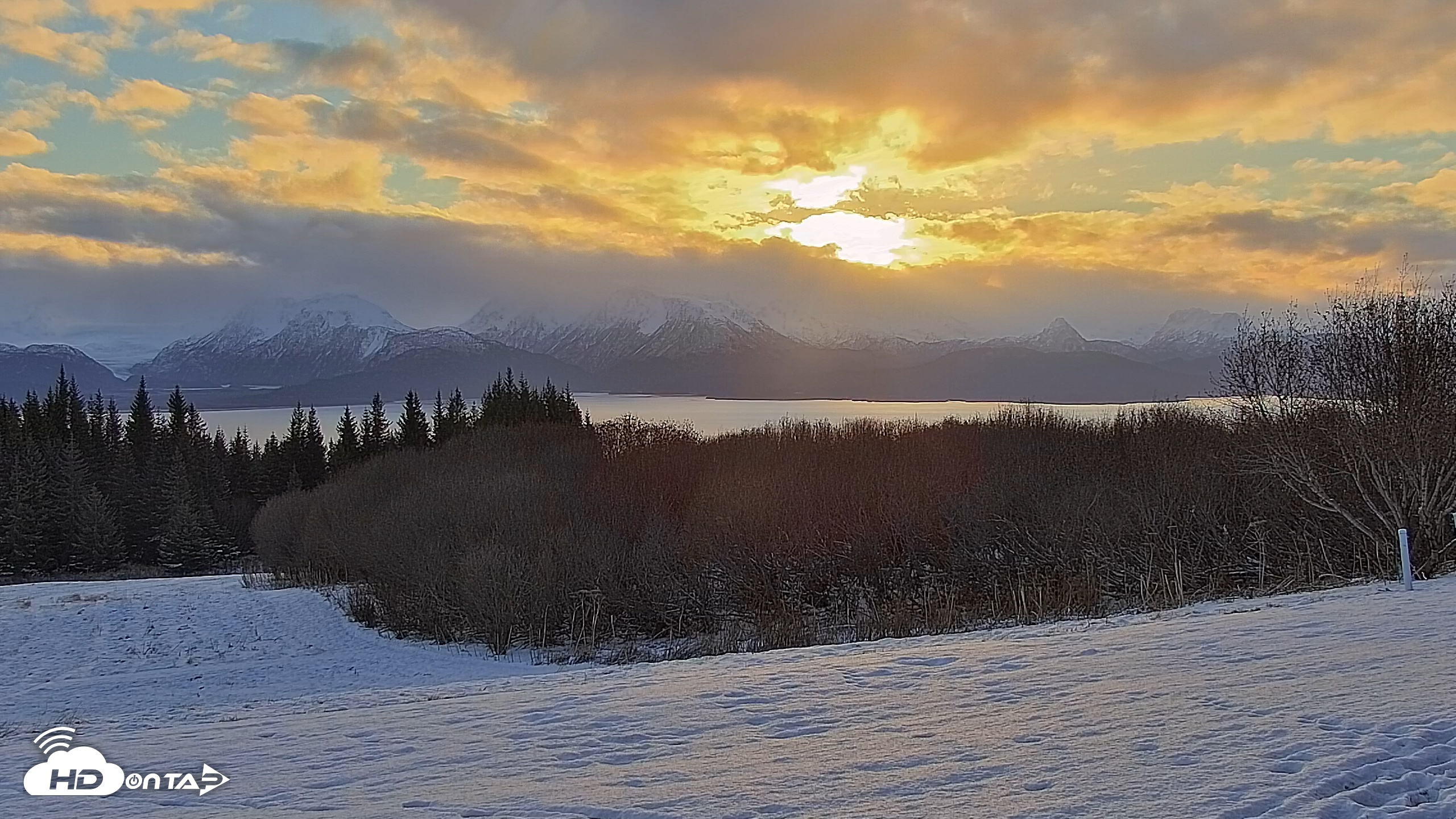 Snapshot of Inspiration Ridge - Homer Alaska Live Webcam taken Nov 19, 2025, 9:56am AKST