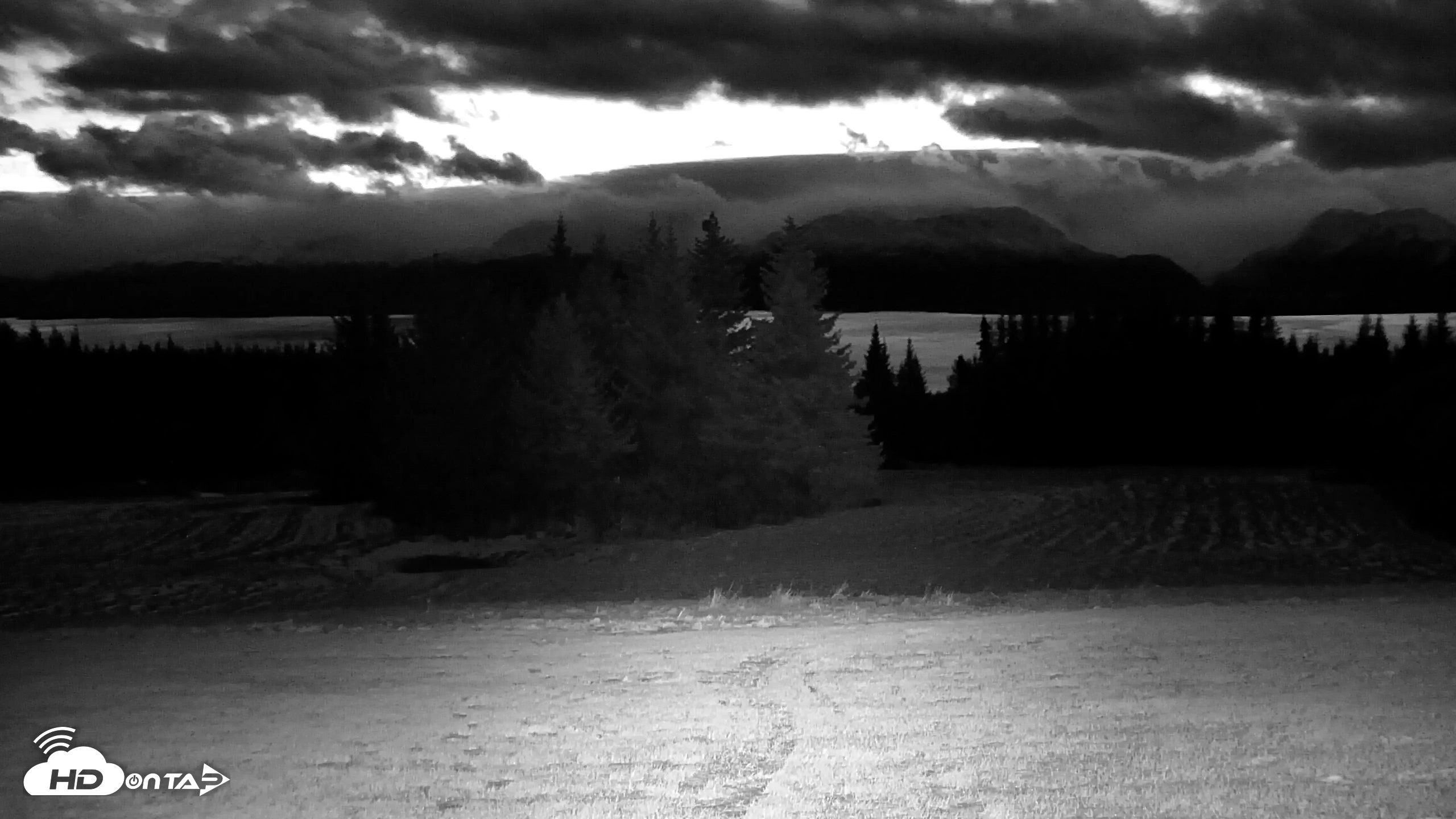 Snapshot of Inspiration Ridge - Homer Alaska Live Webcam taken Dec 2, 2025, 8:33am AKST