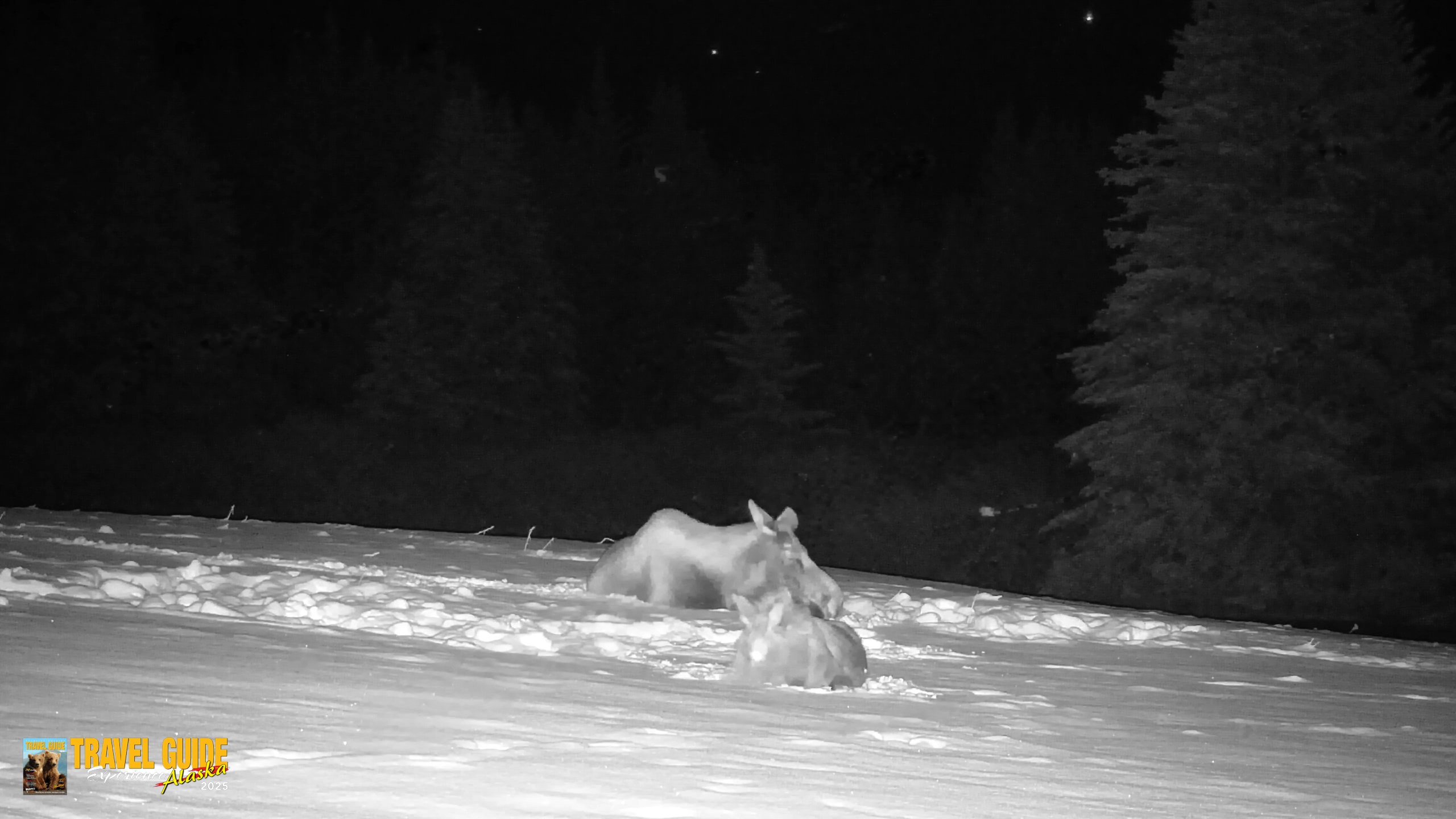 Snapshot of Inspiration Ridge - Homer Alaska Live Webcam taken Jan 14, 2026, 12:47am AKST