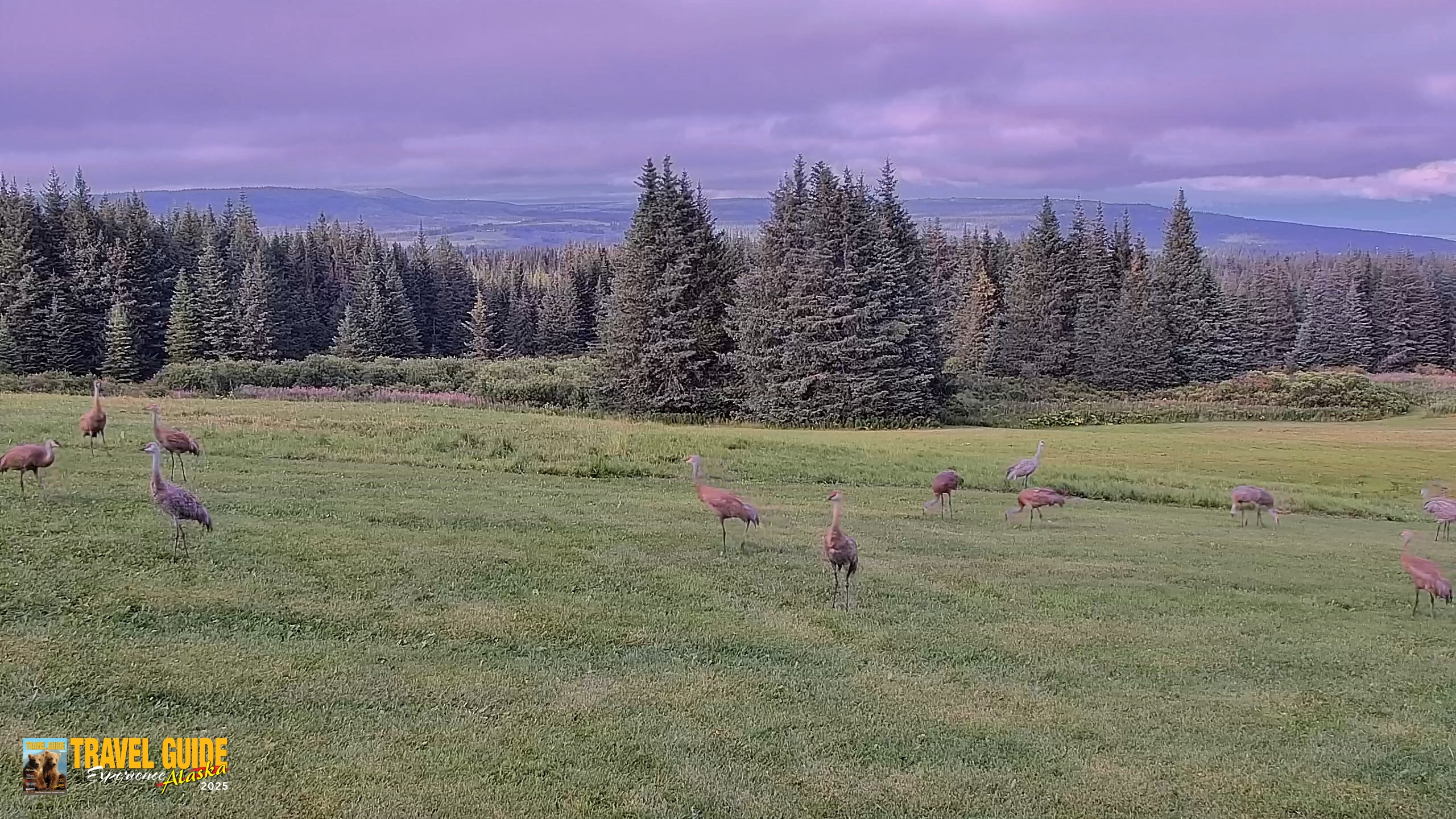 Snapshot of Inspiration Ridge - Homer Alaska Live Webcam taken Aug 25, 2026, 8:39pm AKDT