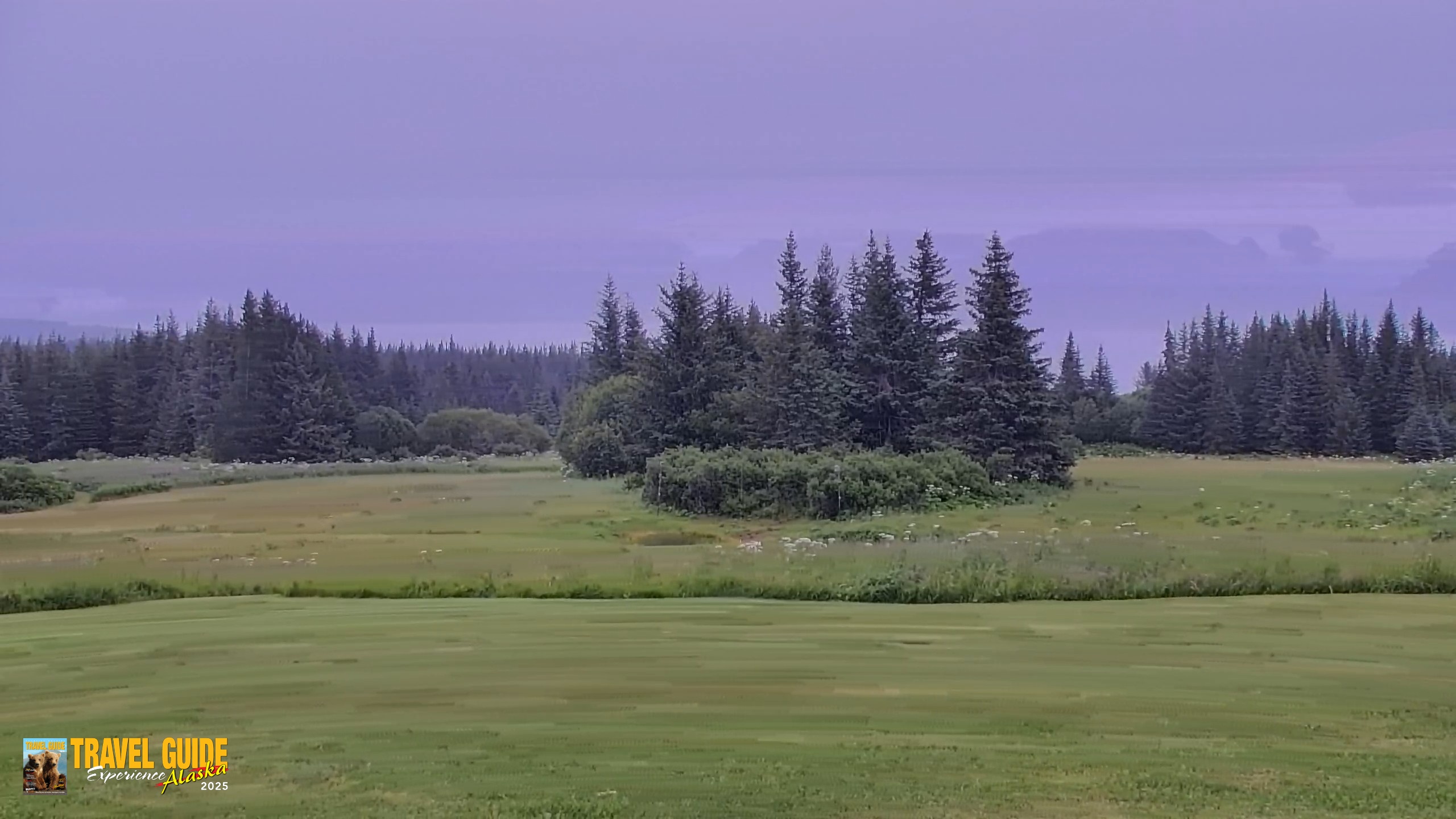 Snapshot of Inspiration Ridge - Homer Alaska Live Webcam taken Aug 5, 2026, 1:37pm AKDT