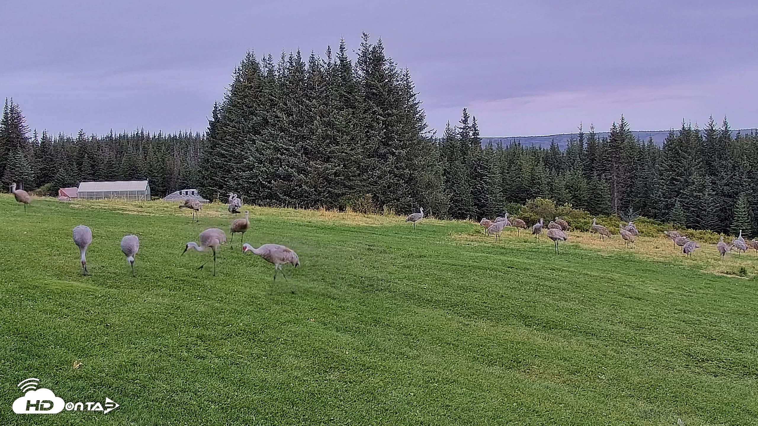 Snapshot of Inspiration Ridge - Homer Alaska Live Webcam taken Sep 4, 2025, 10:38am AKDT