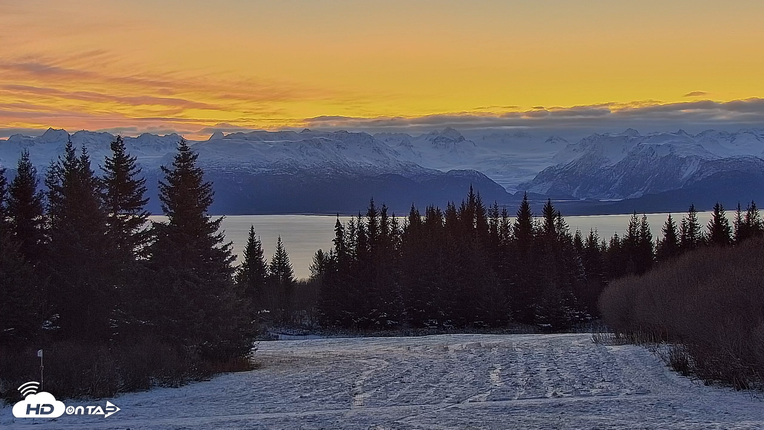 Snapshot of Inspiration Ridge - Homer Alaska Live Webcam taken Nov 12, 2025, 8:20am AKST
