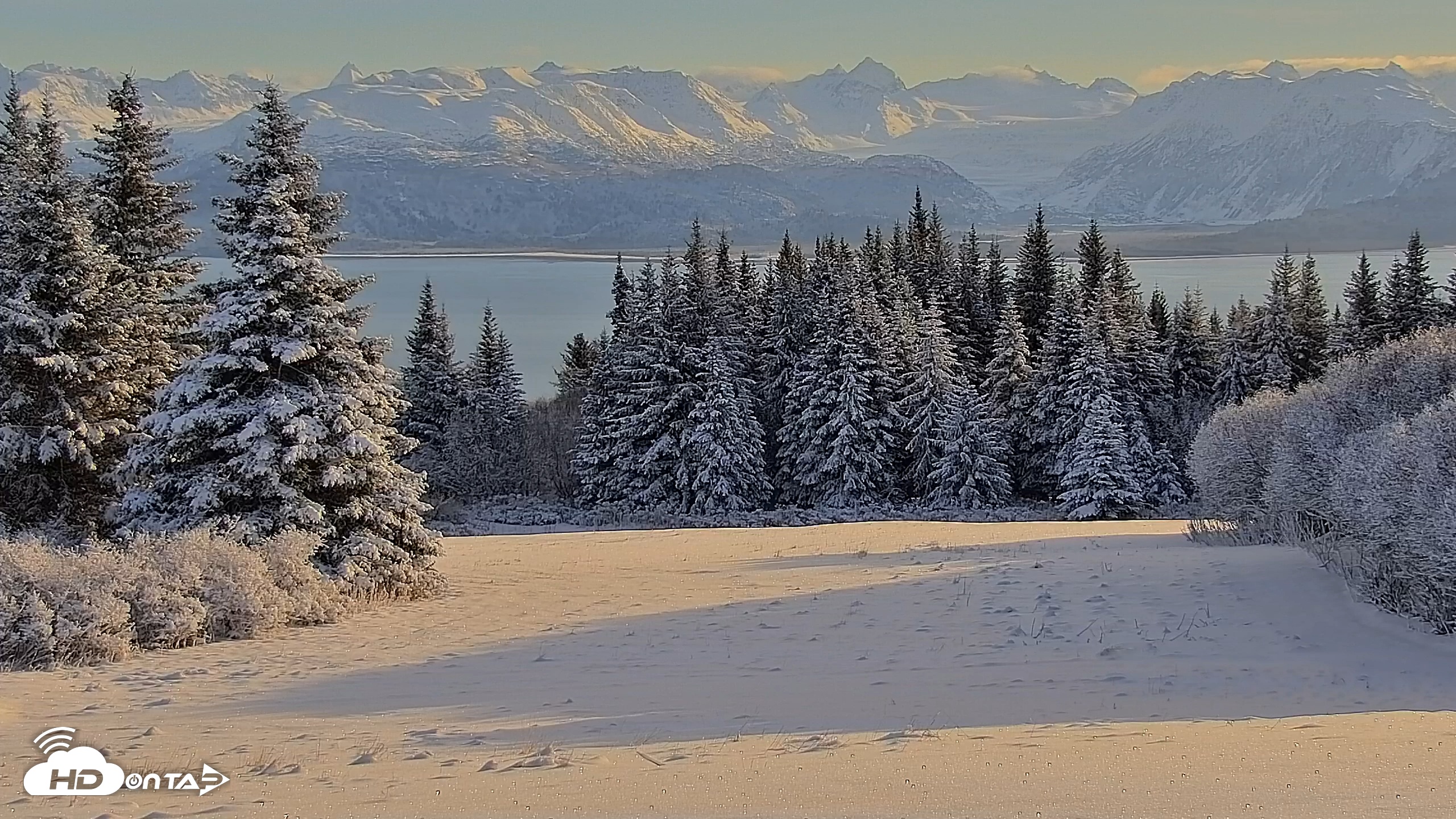 Snapshot of Inspiration Ridge - Homer Alaska Live Webcam taken Nov 22, 2025, 11:46am AKST