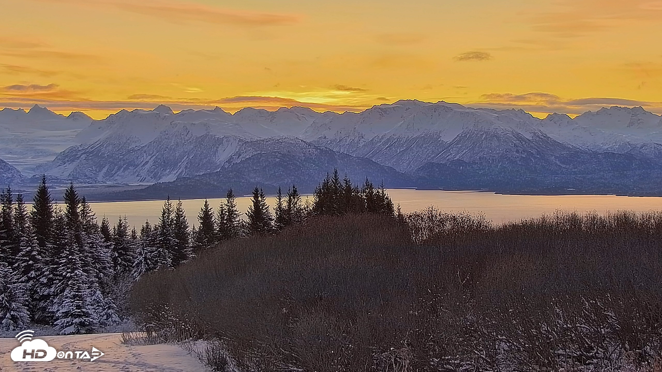 Snapshot of Inspiration Ridge - Homer Alaska Live Webcam taken Nov 24, 2025, 9:12am AKST