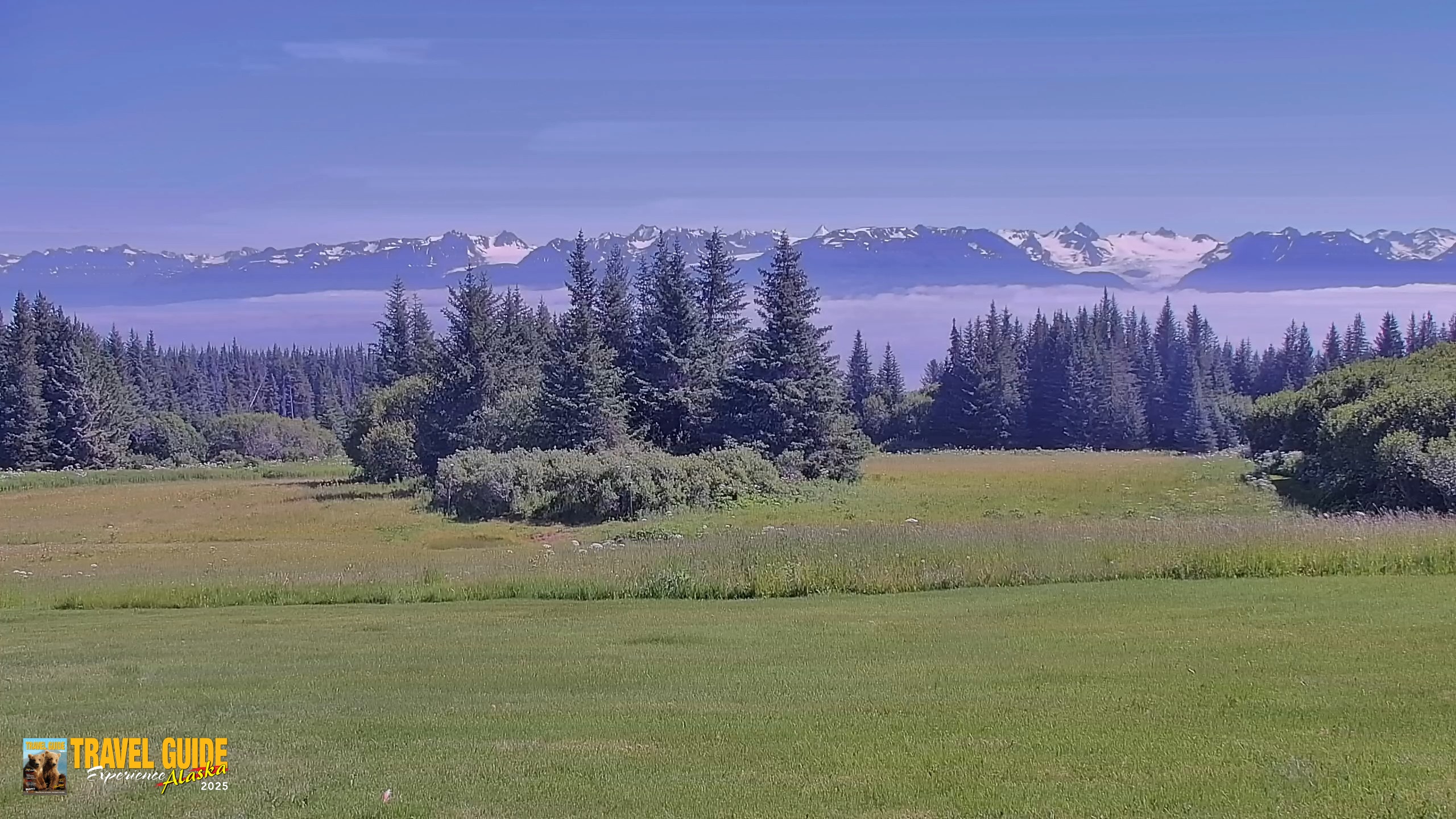Snapshot of Inspiration Ridge - Homer Alaska Live Webcam taken Aug 1, 2026, 2:08pm AKDT