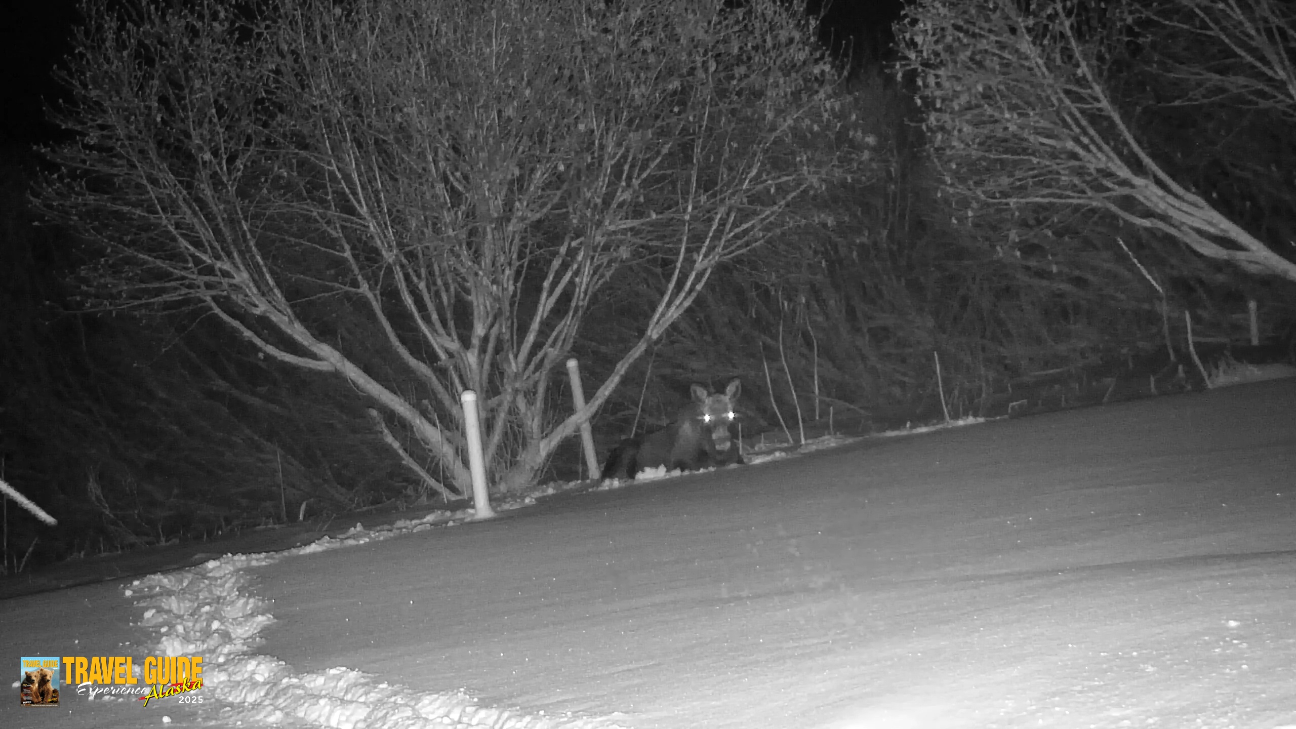 Snapshot of Inspiration Ridge - Homer Alaska Live Webcam taken Jan 6, 2026, 2:06am AKST