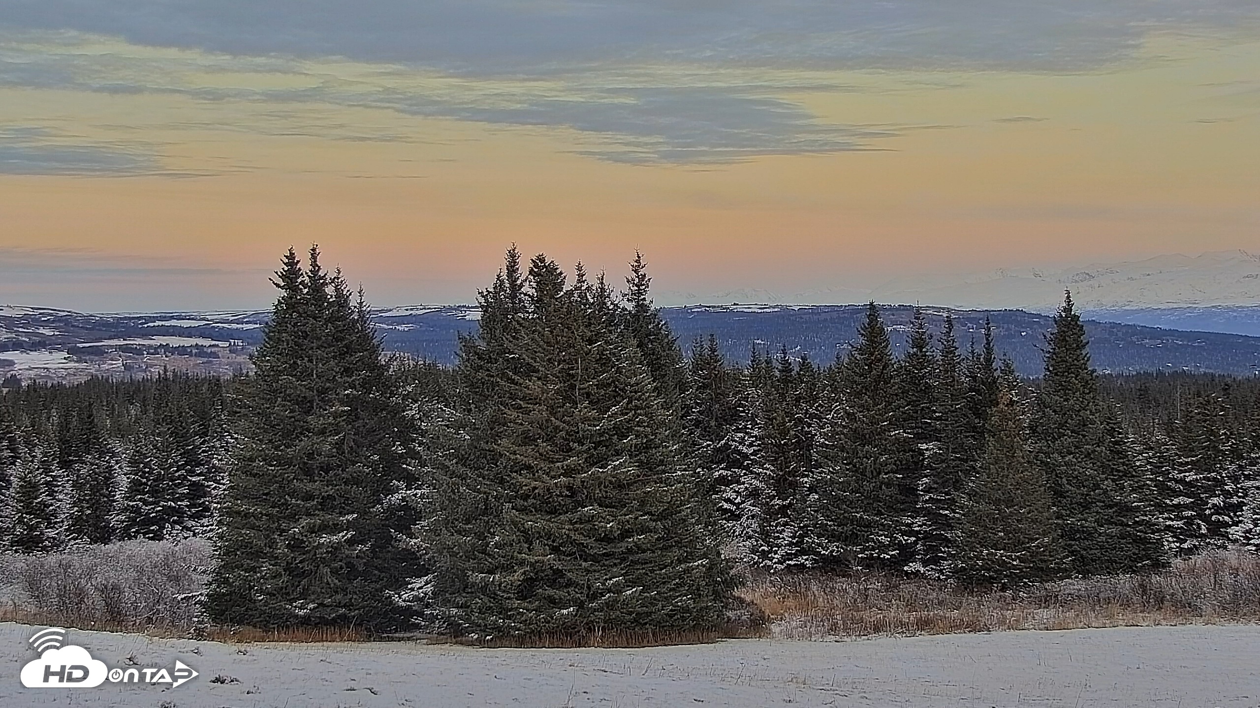 Snapshot of Inspiration Ridge - Homer Alaska Live Webcam taken Nov 9, 2025, 4:33pm AKST