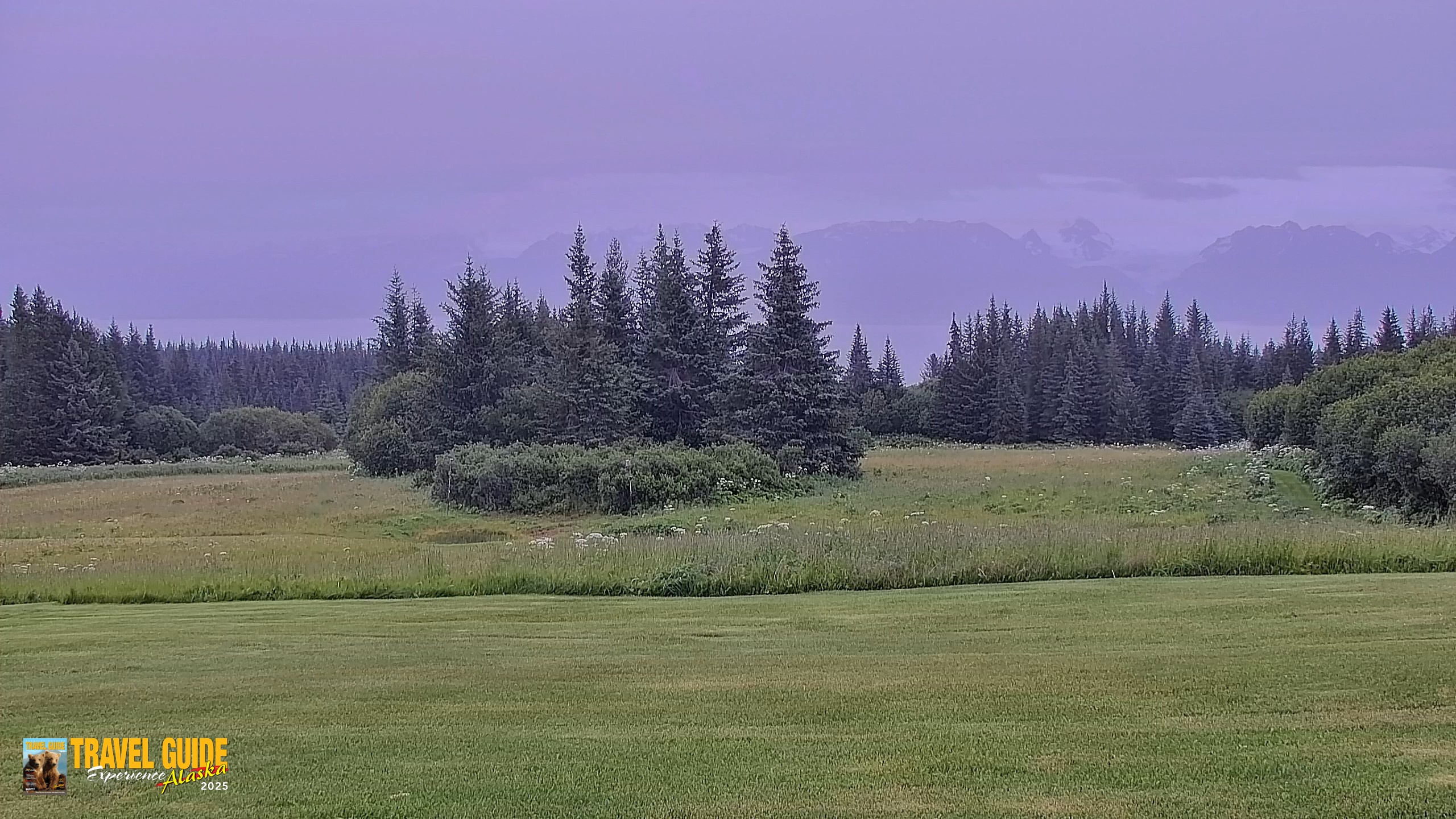 Snapshot of Inspiration Ridge - Homer Alaska Live Webcam taken Aug 5, 2026, 1:38pm AKDT